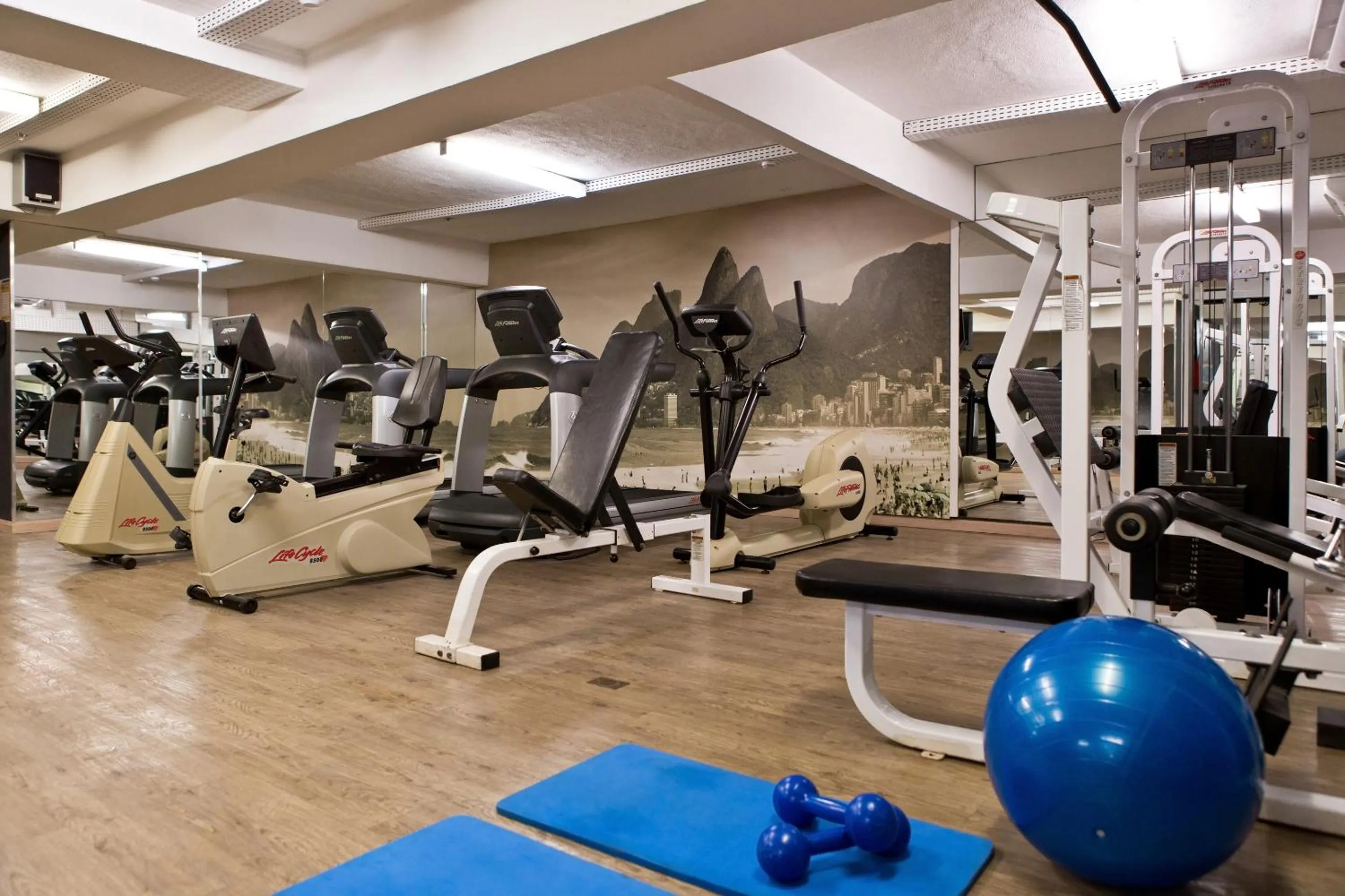 Fitness centre/facilities in Ritz Leblon