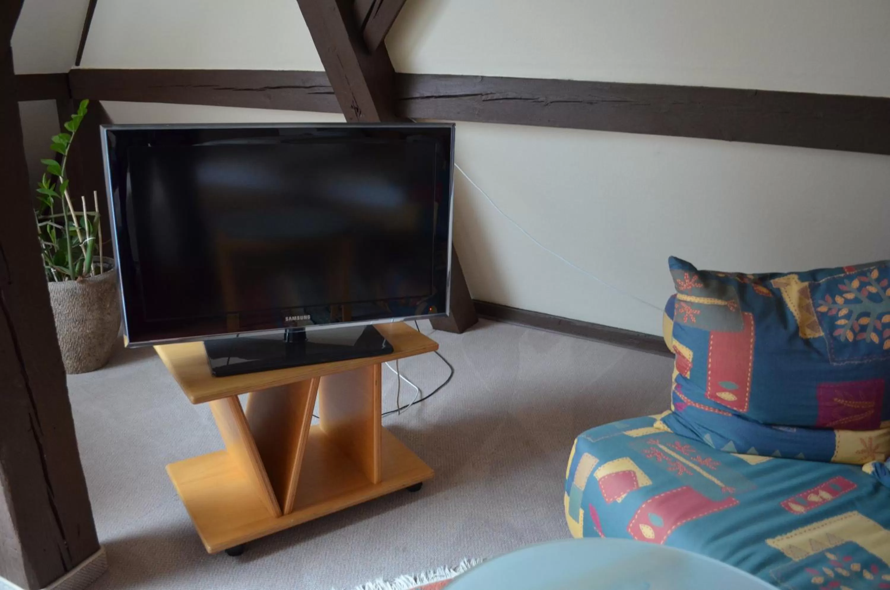 TV and multimedia in Alte Post - Hotel Am Rhein-Ufer Laufenburg