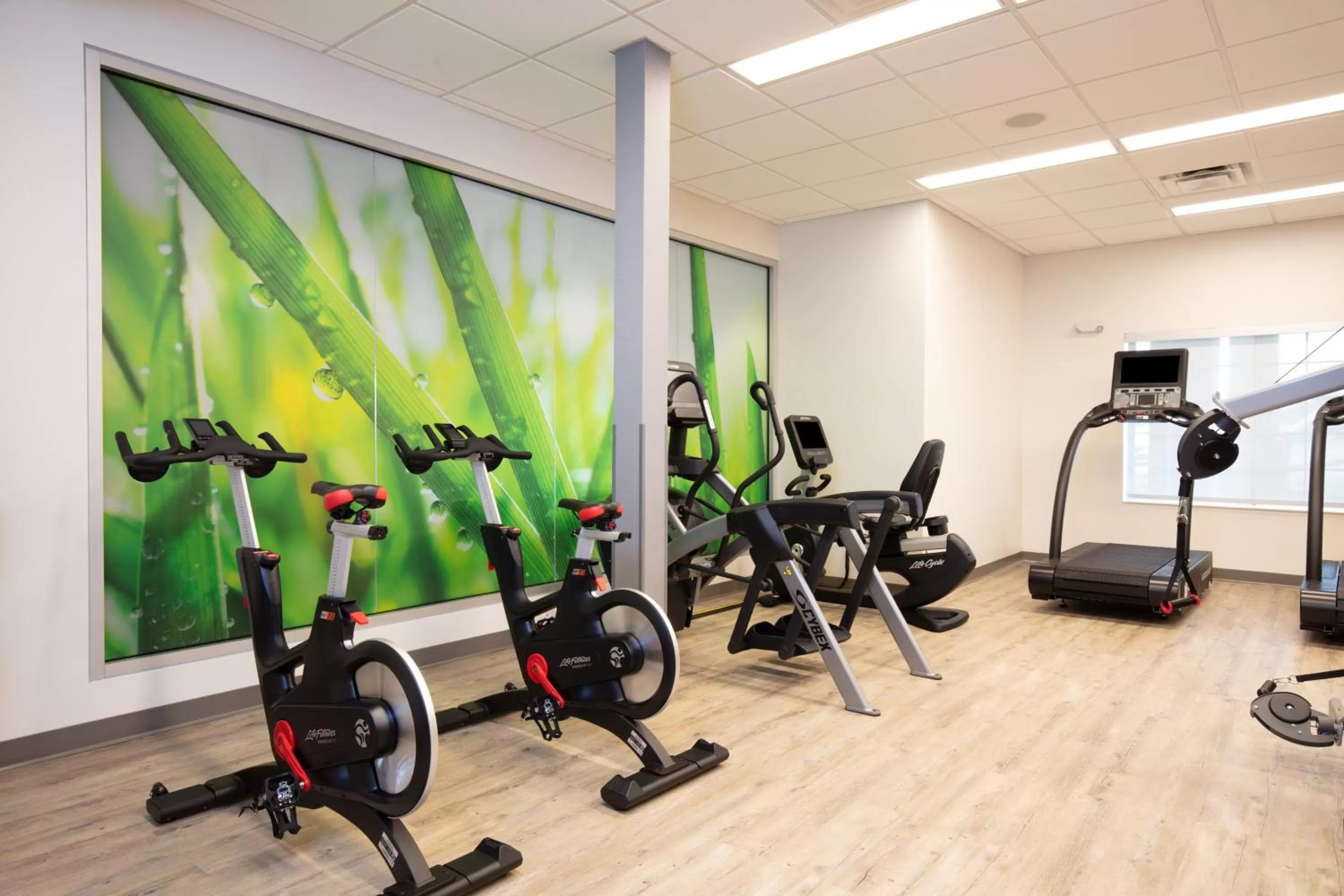 Fitness centre/facilities in EVEN Hotels Denver Tech Center-Englewood by IHG