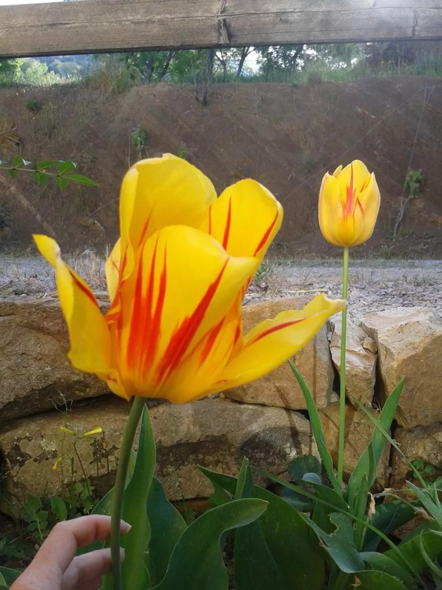 Decorative detail in Villaggio dei Balocchi