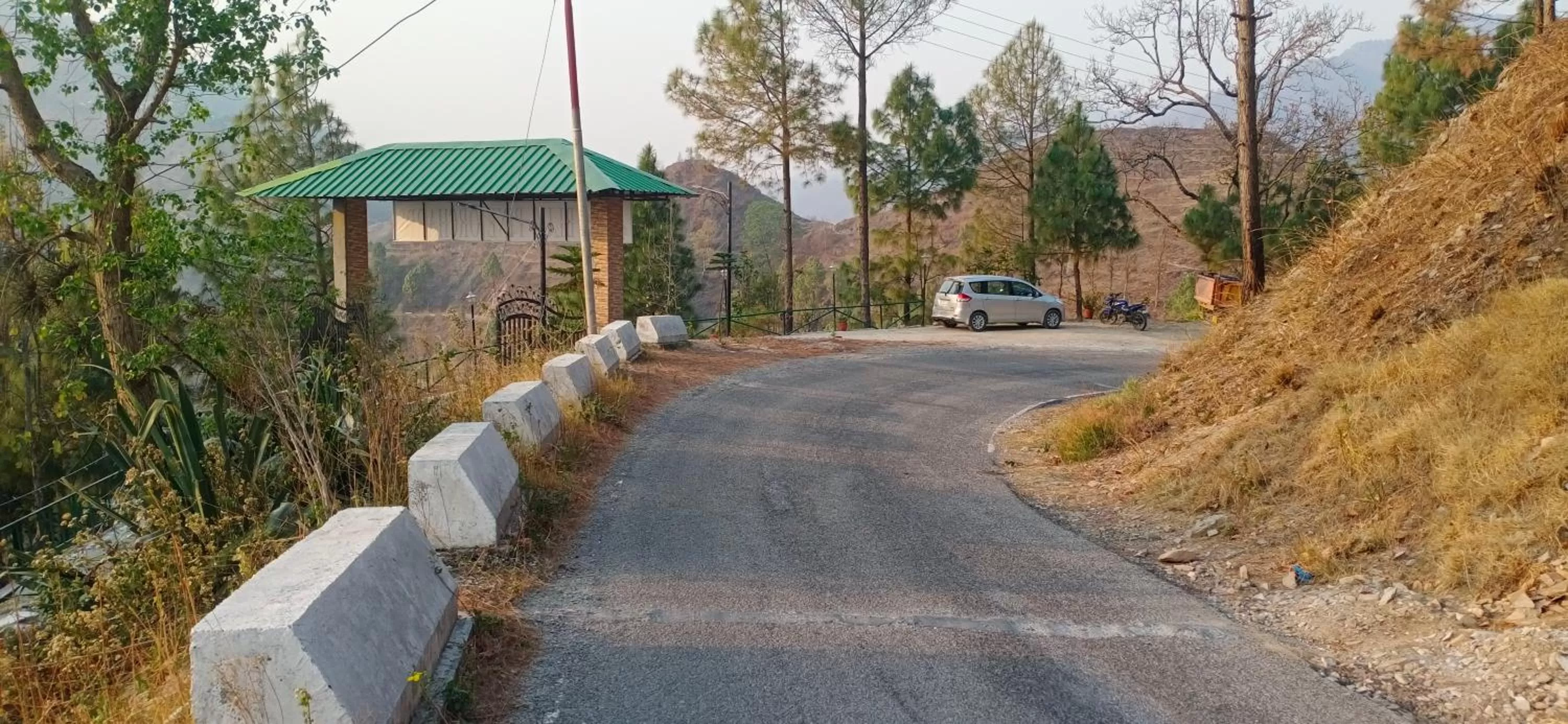 View (from property/room) in Blue Pine Orchards