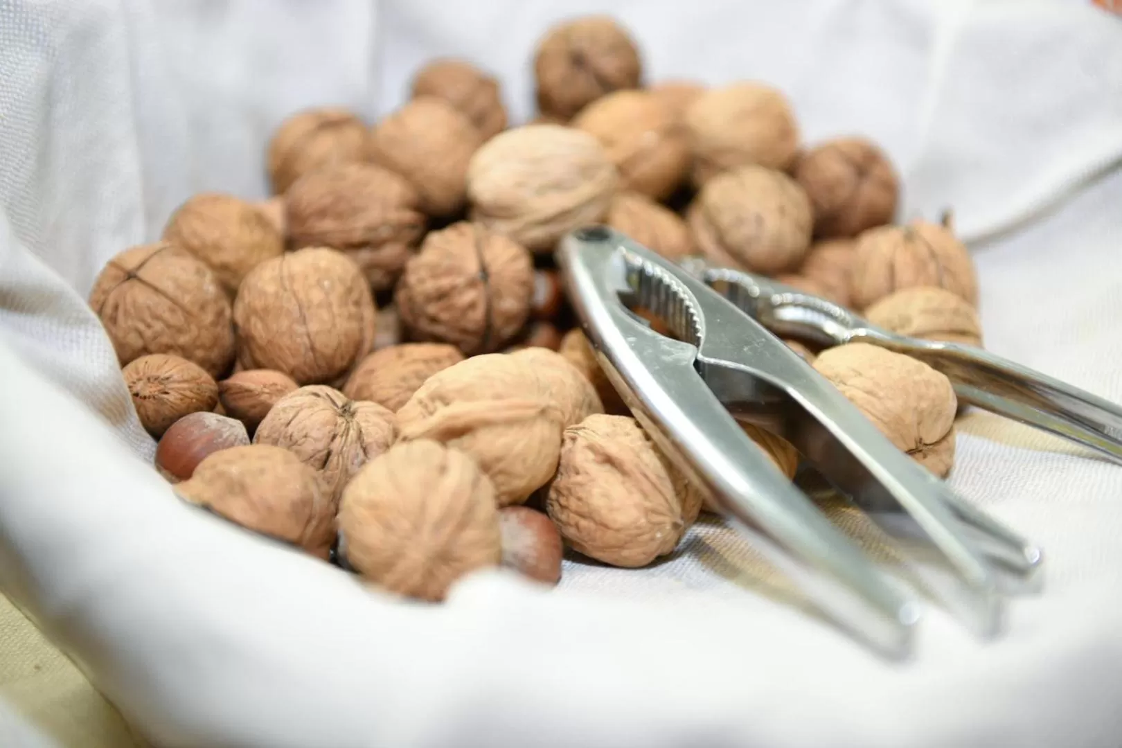 Buffet breakfast in Baldinini Hotel