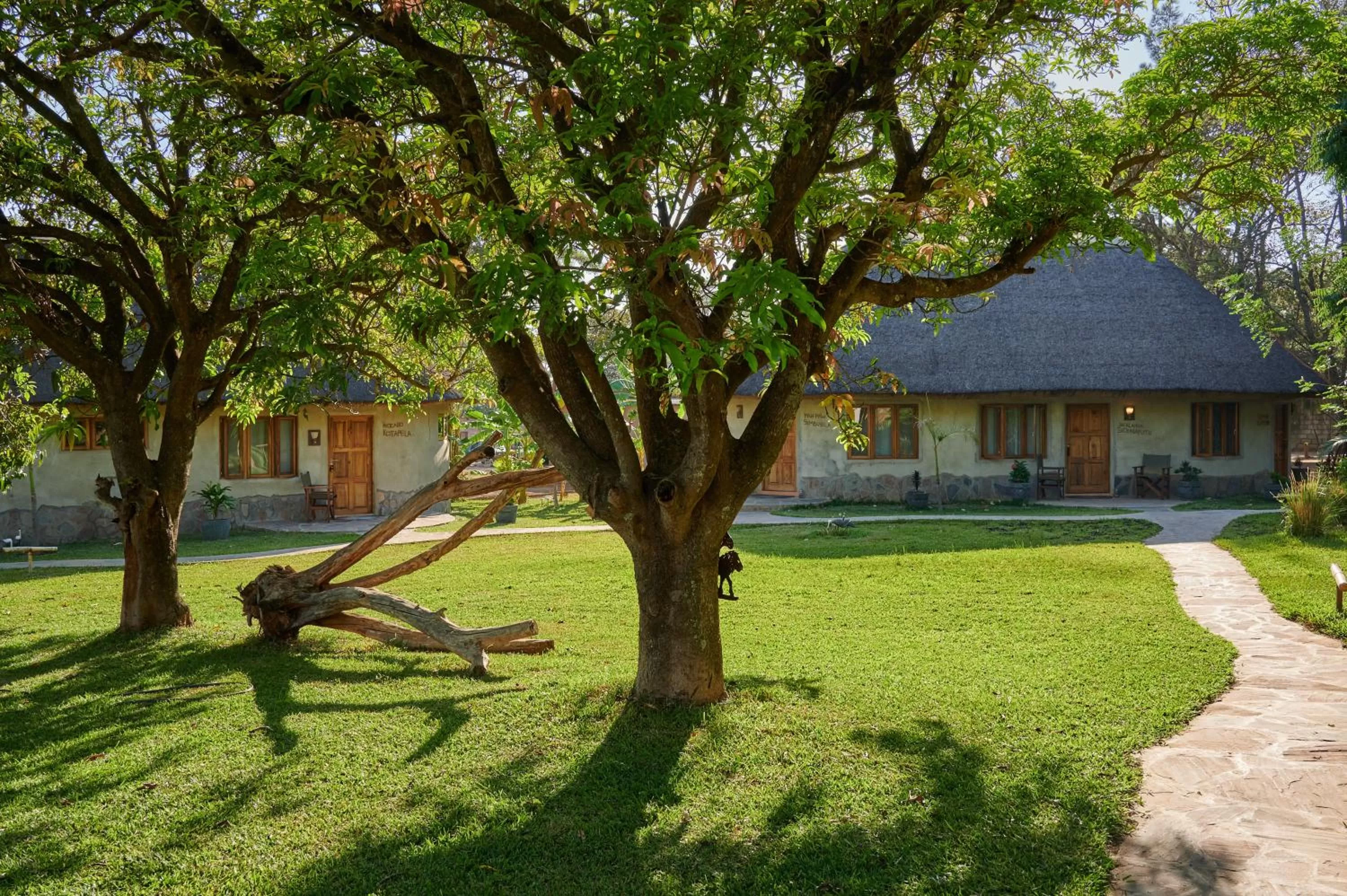 Garden, Property Building in Wild Dogs Lodge
