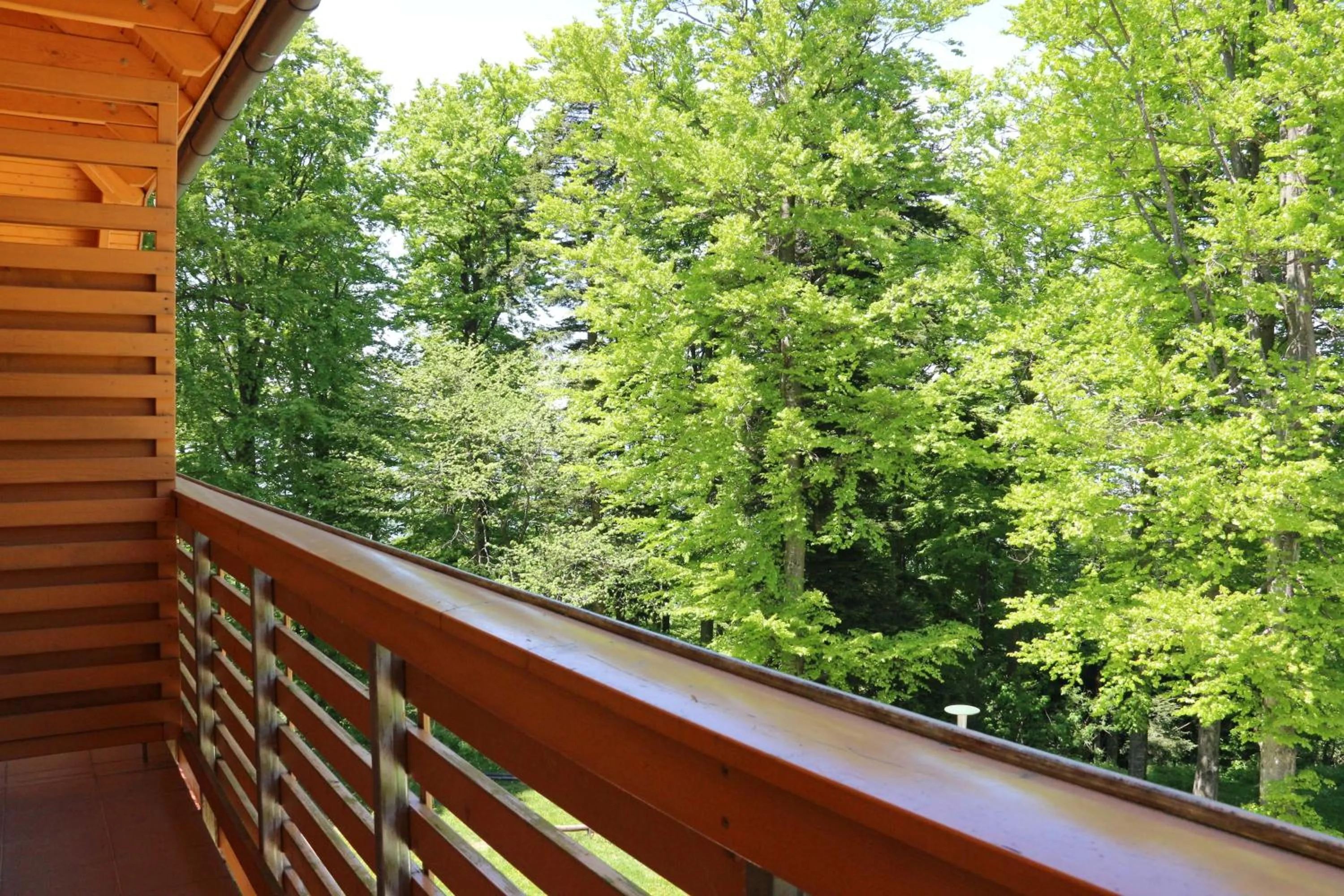 Spring in Aparthotel Snjezna Kraljica