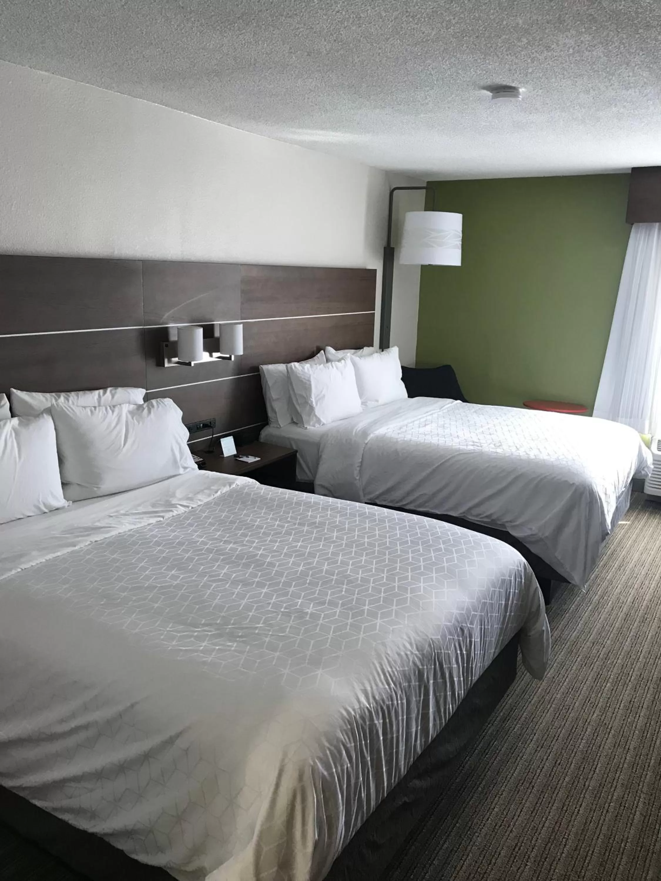 Bedroom, Bed in Holiday Inn Express Memphis Medical Center - Midtown by IHG