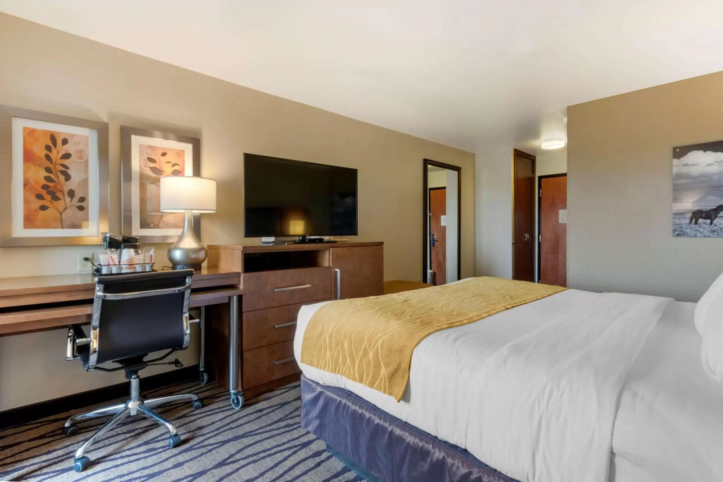 Photo of the whole room, Bed in Comfort Inn & Suites Market - Airport