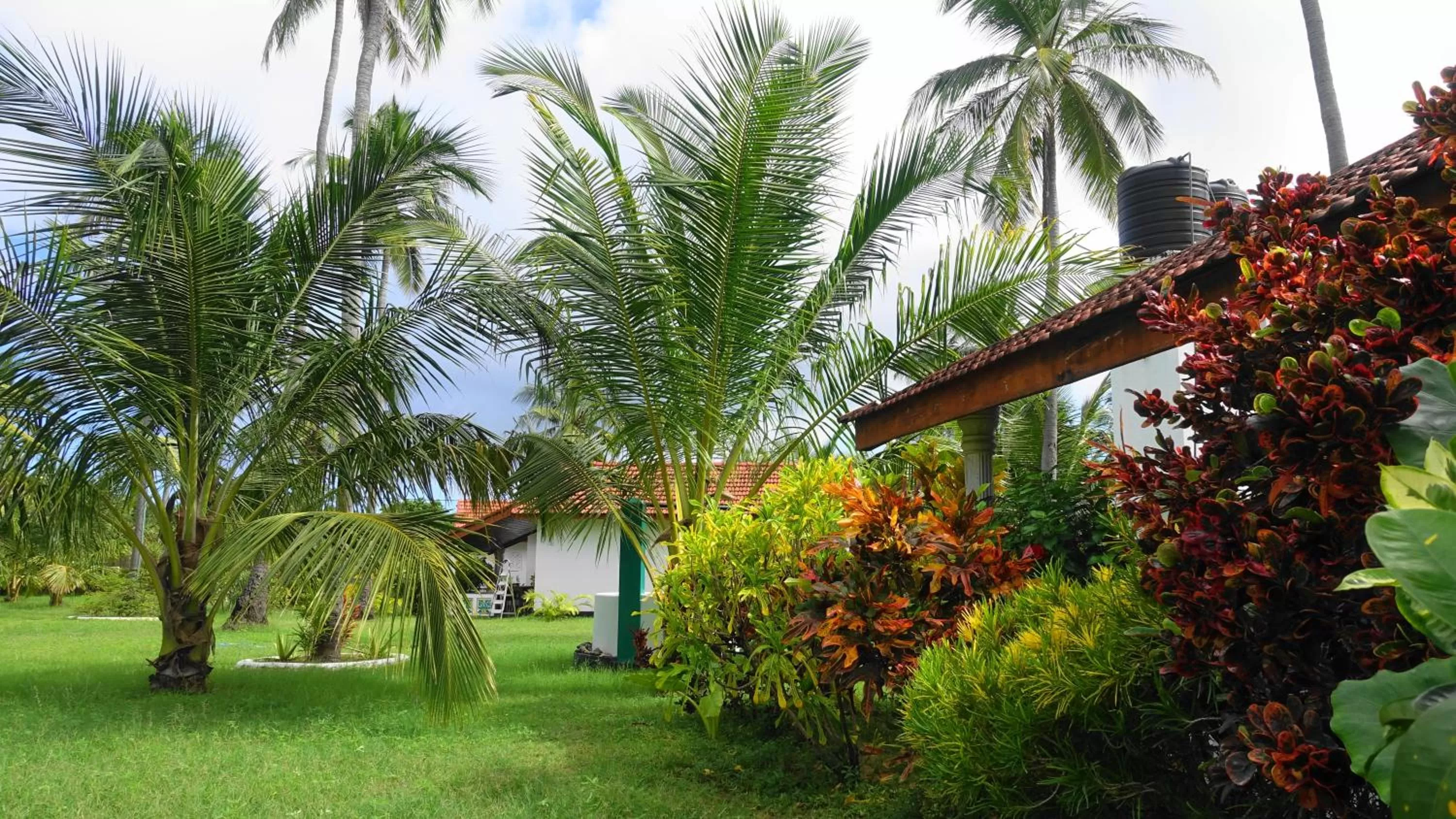 Garden in Regina Beach Bungalow