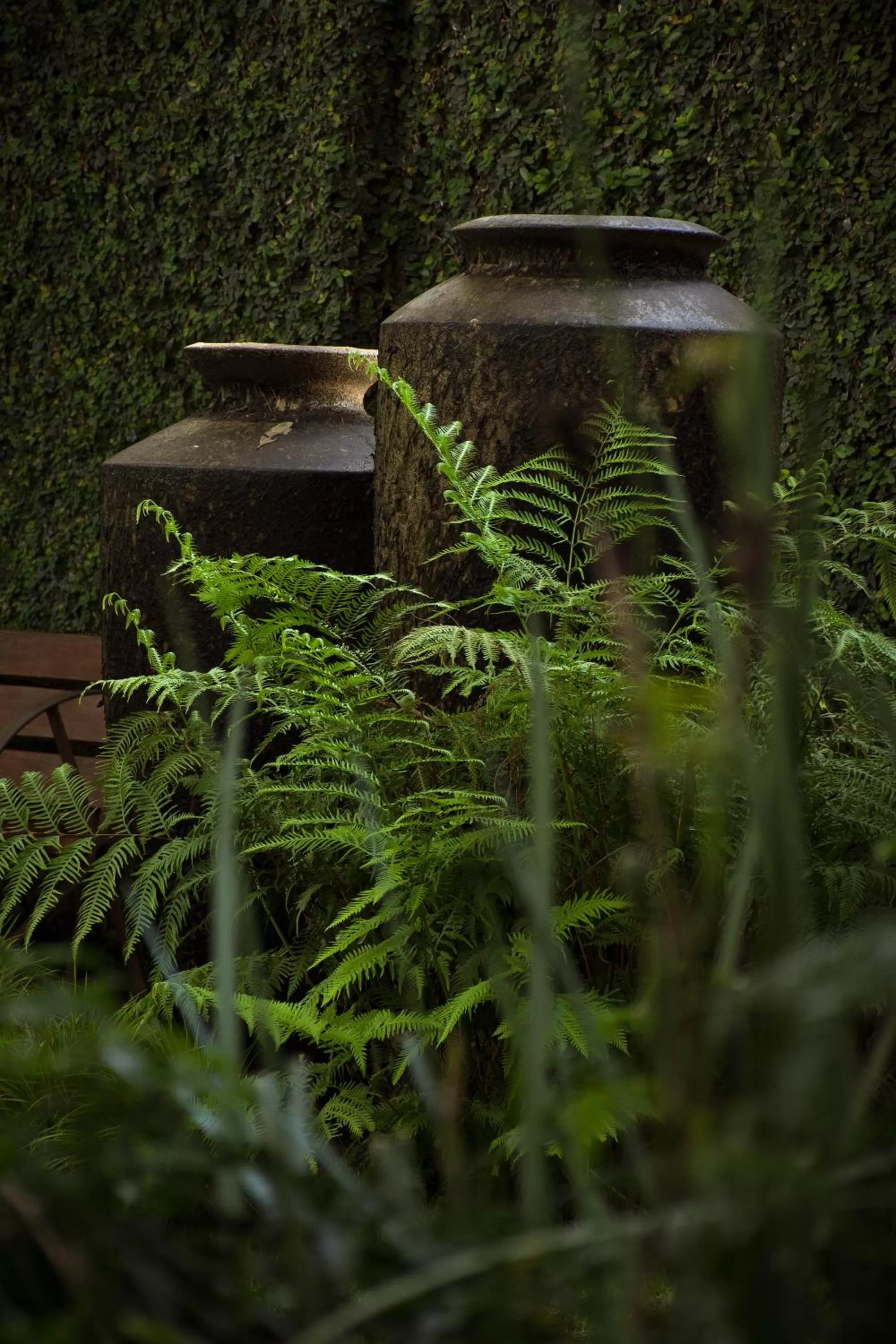 Garden in Zawadi House Lodge