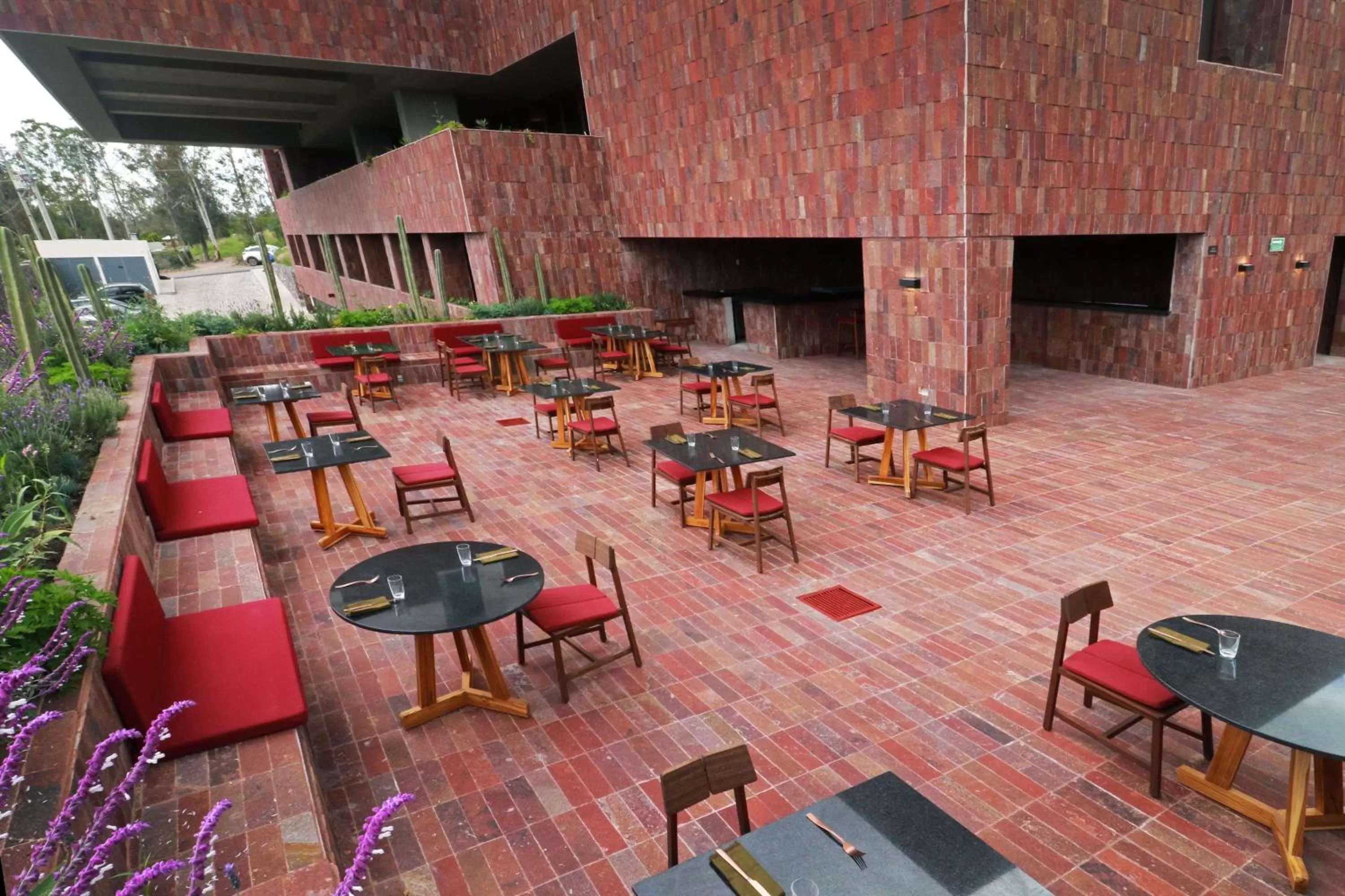 Restaurant/places to eat in Albor San Miguel de Allende, Tapestry Collection by Hilton