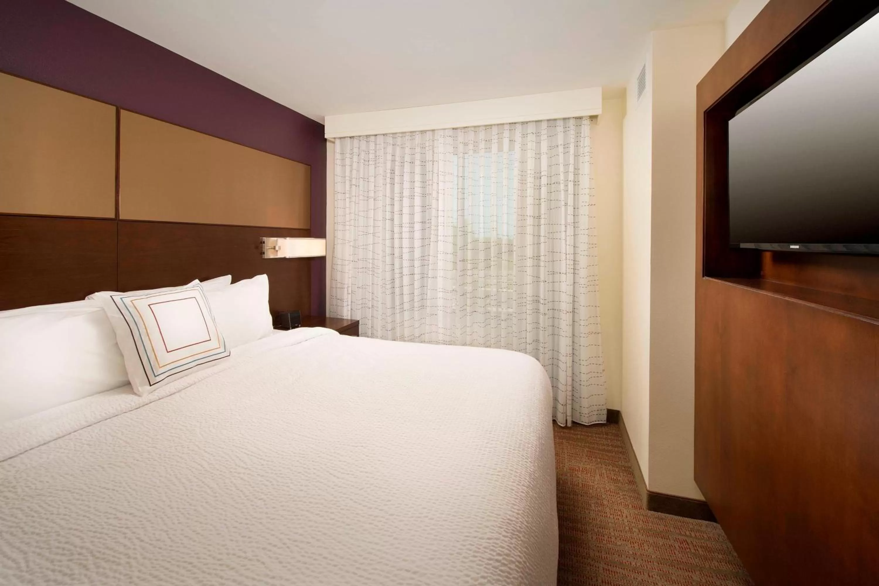 One-Bedroom King Suite with Sofa Bed in Residence Inn by Marriott Nashville South East/Murfreesboro