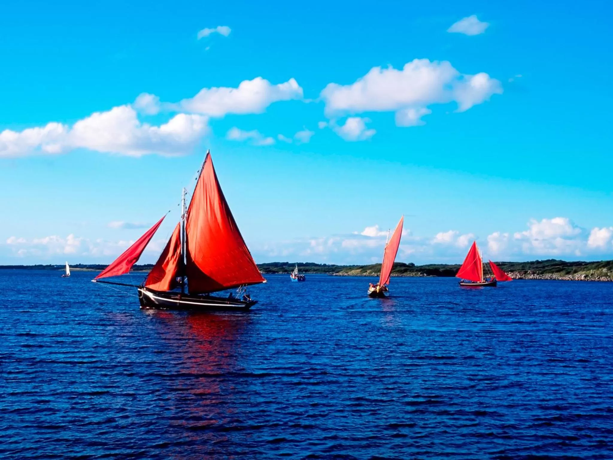 Area and facilities, Windsurfing in Forster Court Hotel