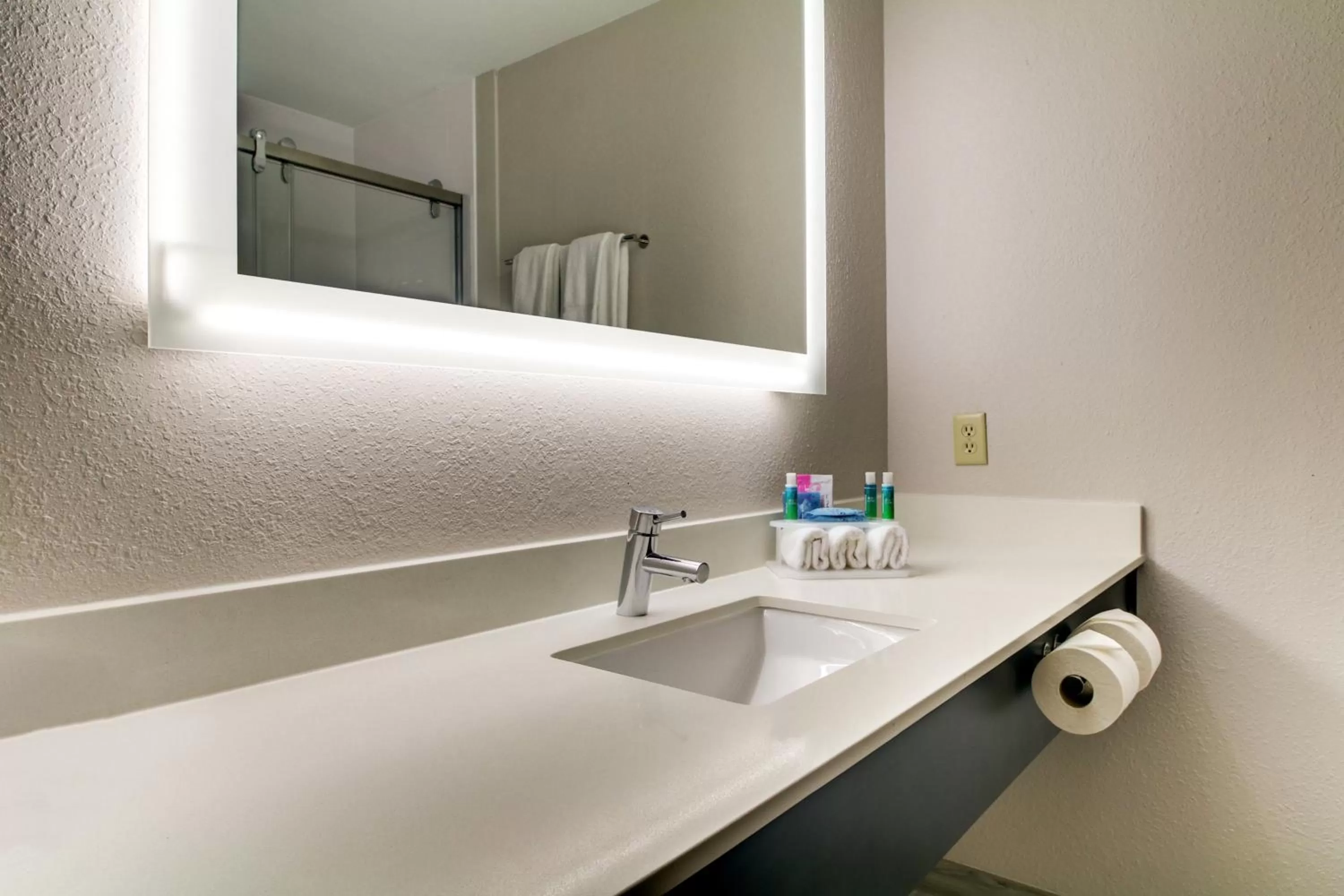 Bathroom in Holiday Inn Express Hotel & Suites Live Oak by IHG