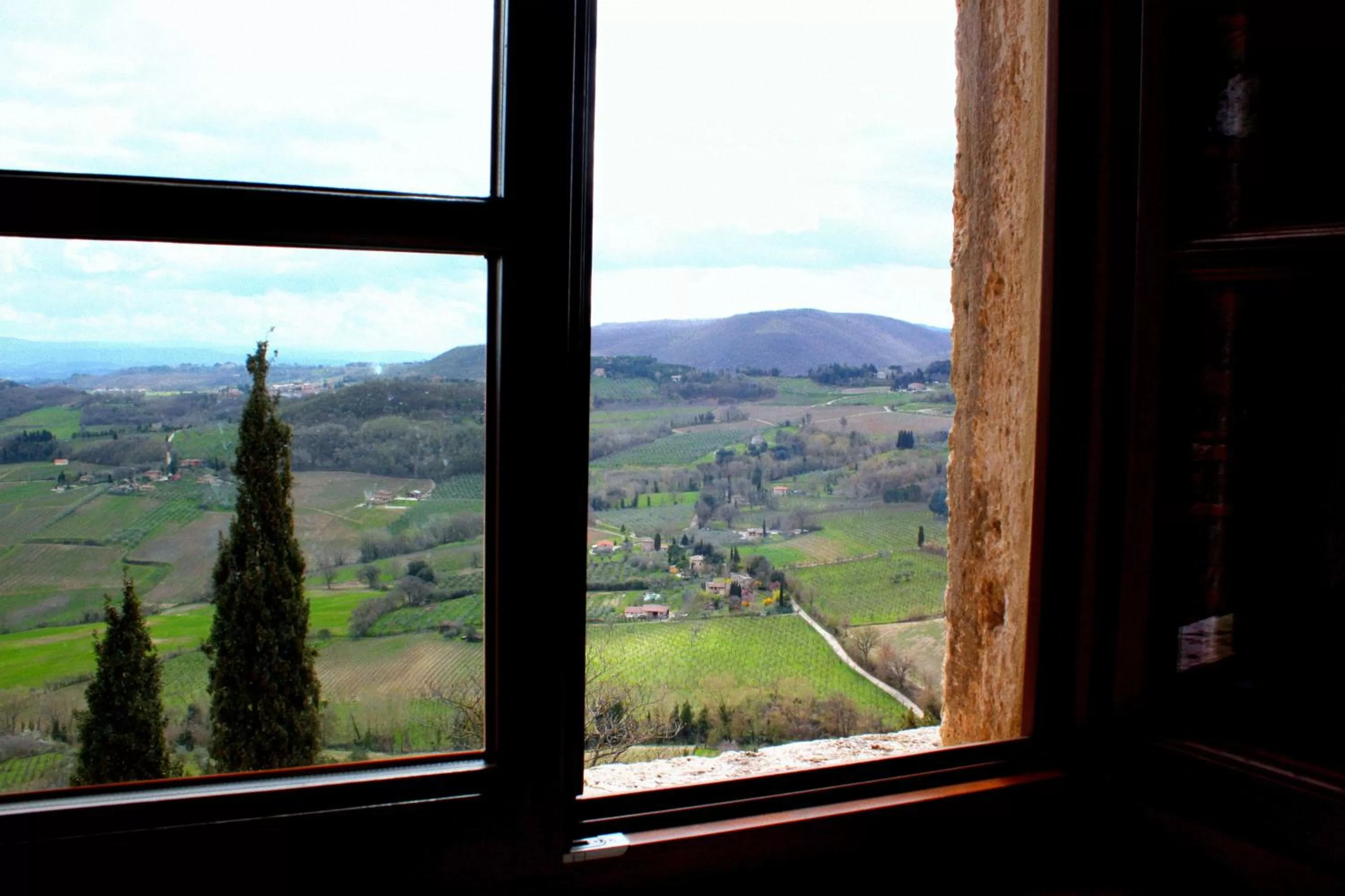 View (from property/room) in Il Tosco