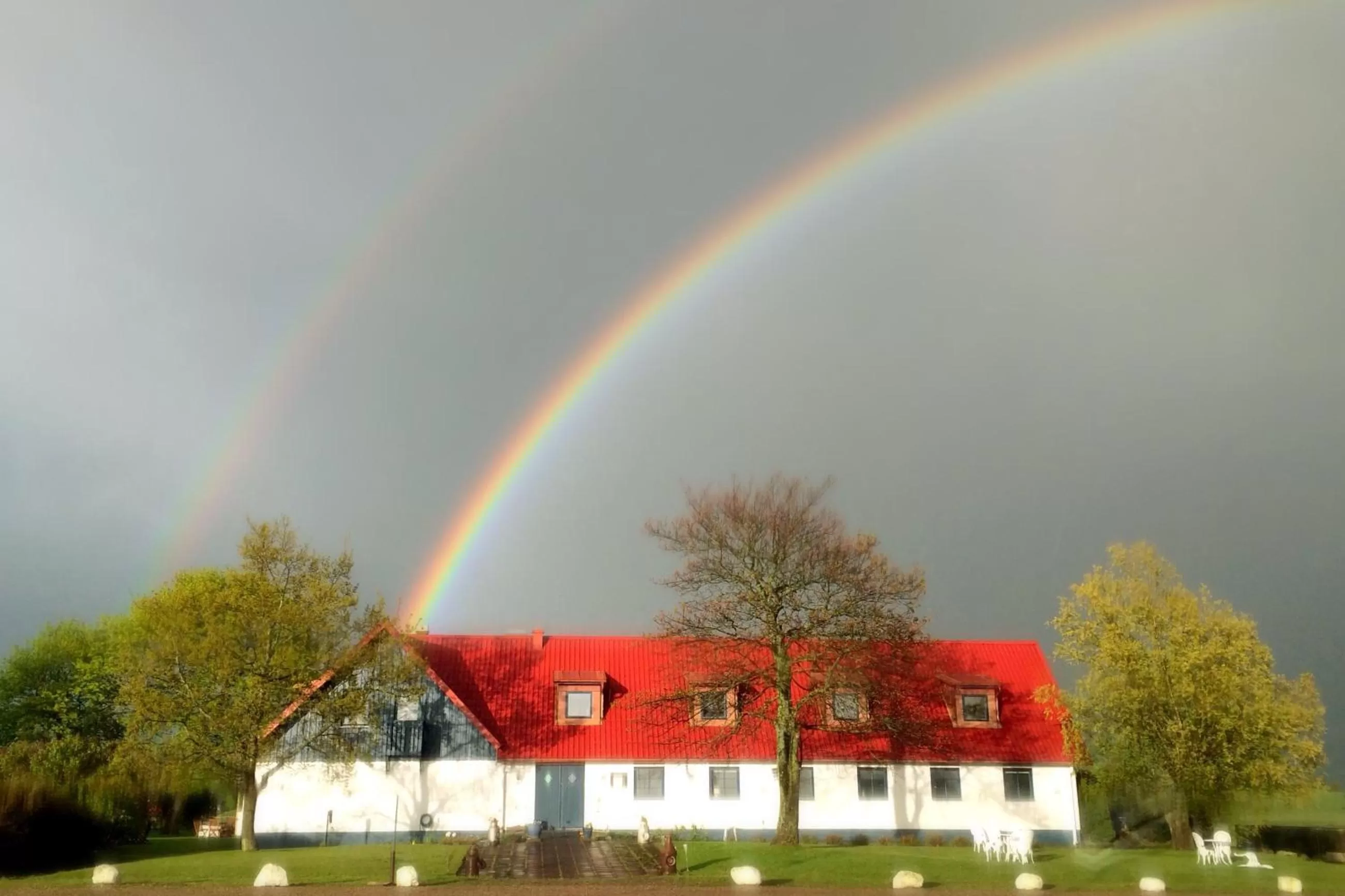 Spring in Tryde 1303 B&B på Österlen