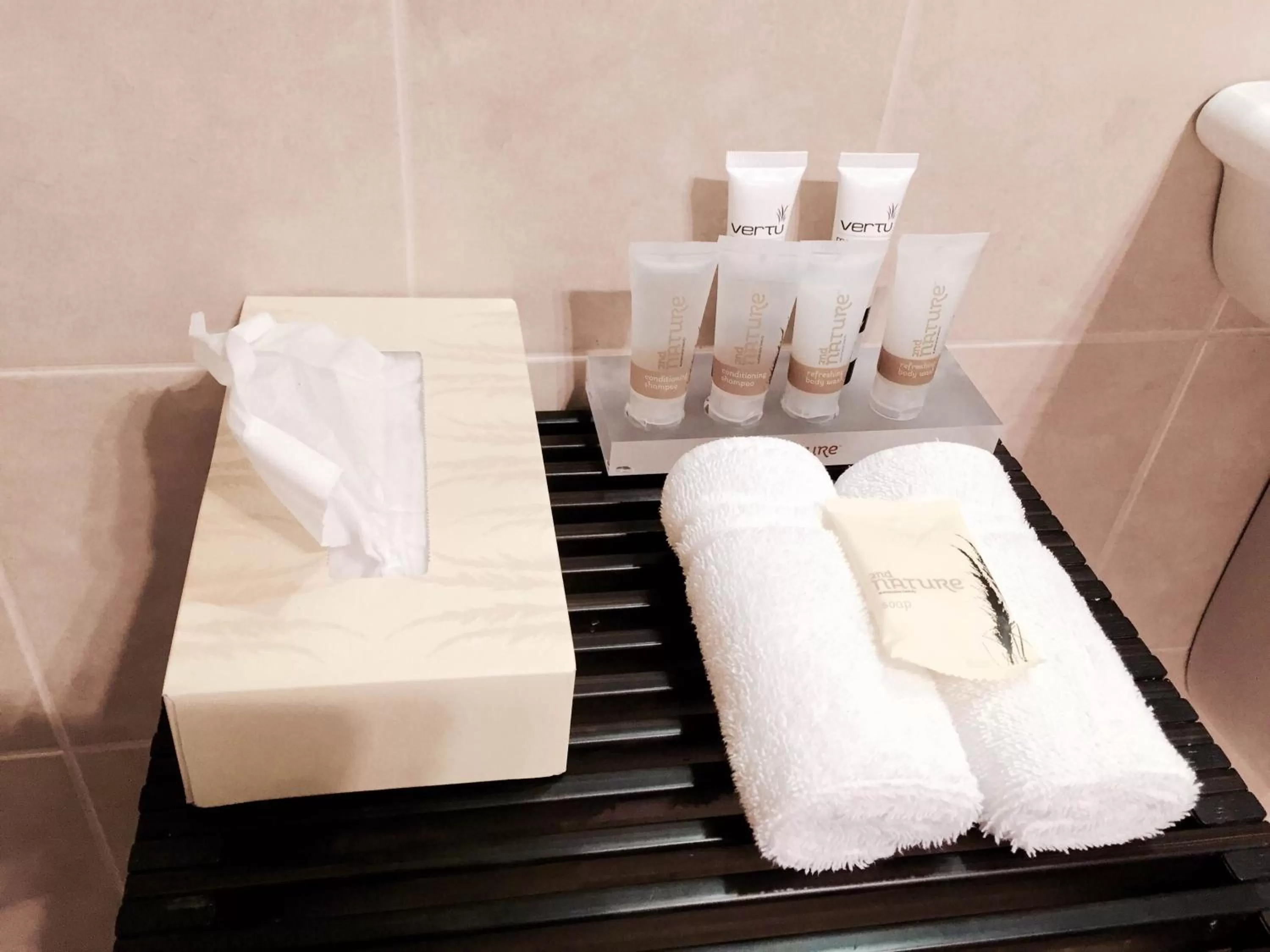 Bathroom in Alpha Motel with Spa-Bath