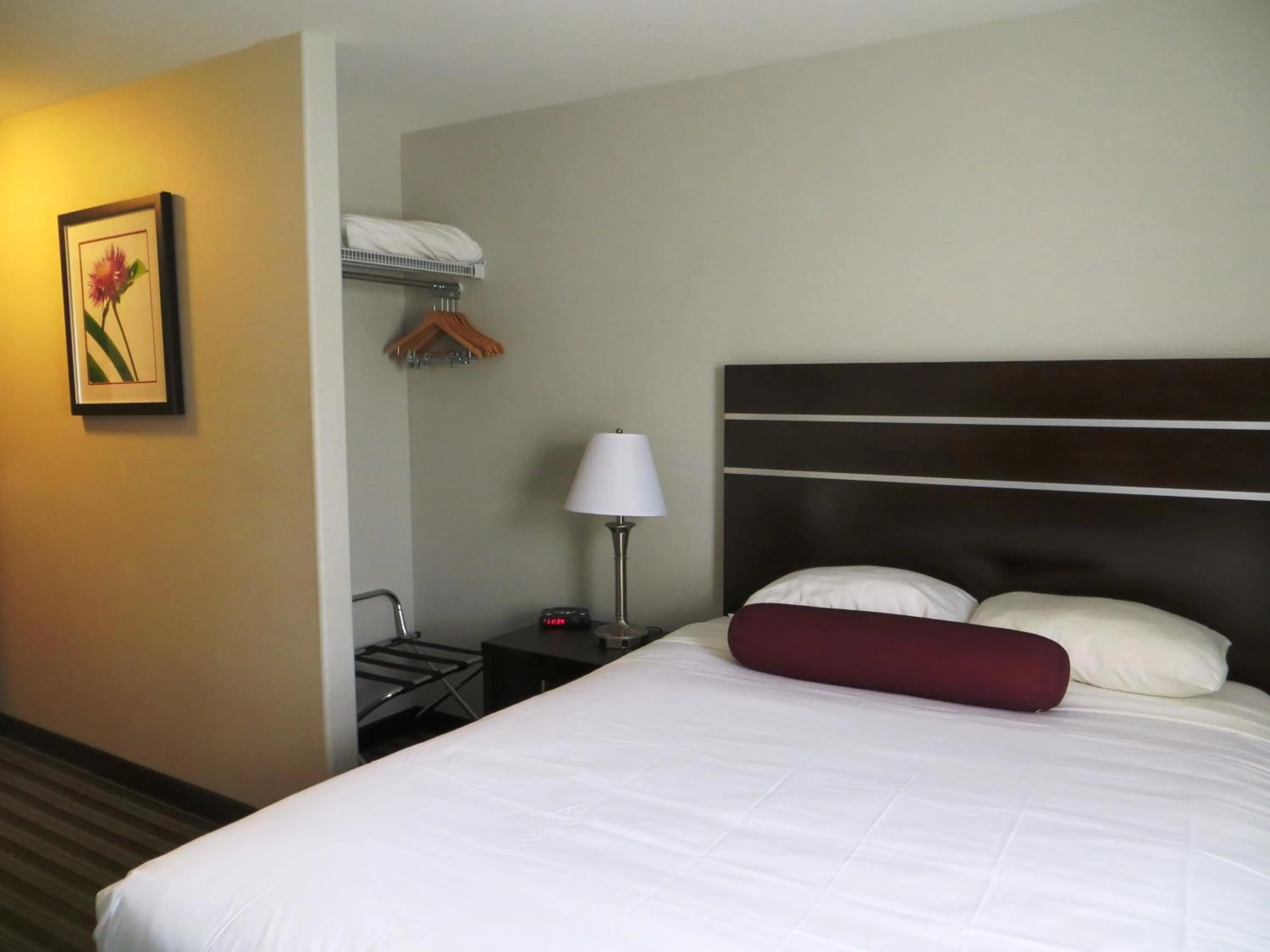 Bedroom, Bed in Super 8 by Wyndham Saskatoon Near Downtown