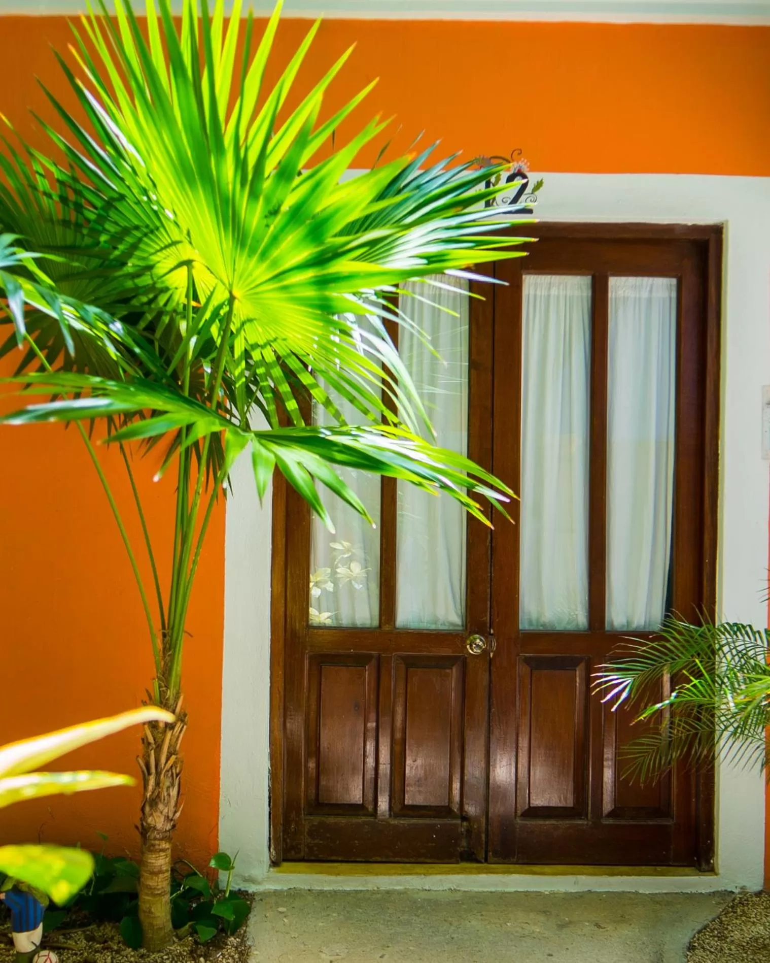 Property building in Hotel Casa de las Flores