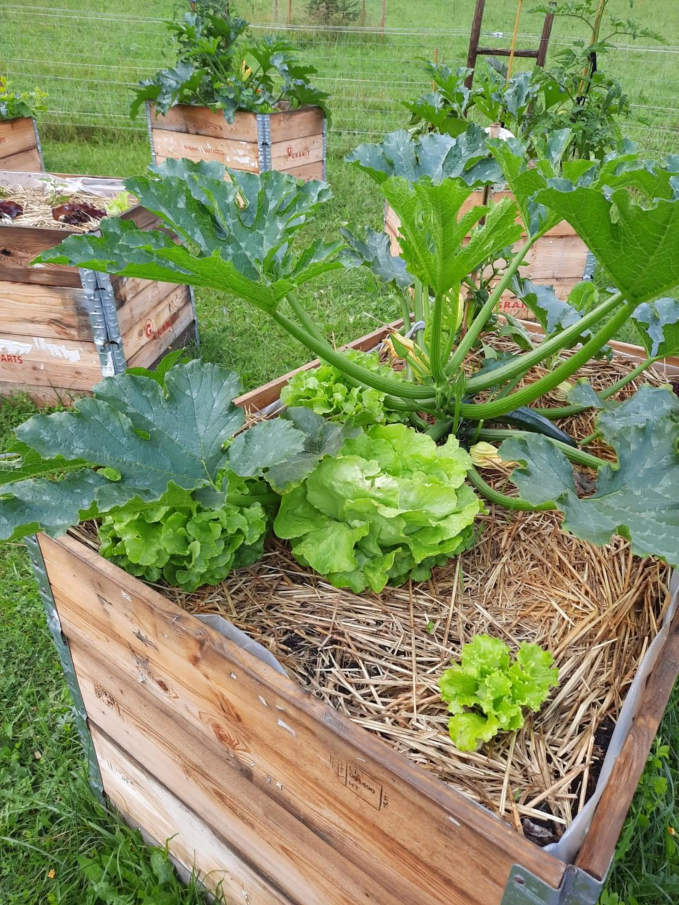 Garden in Ferme des Petites Oreilles 4 étoiles