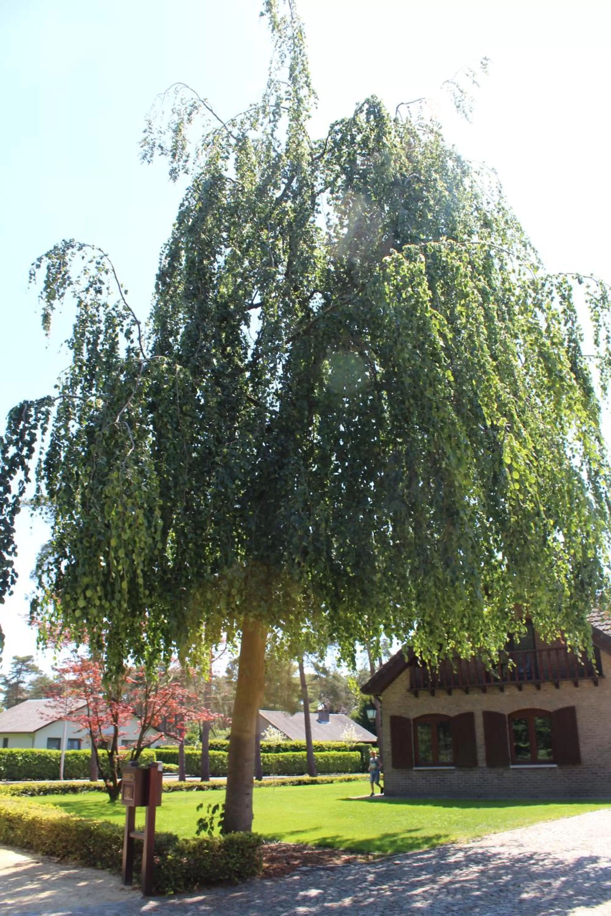 Property building in 't Wilgenhuys