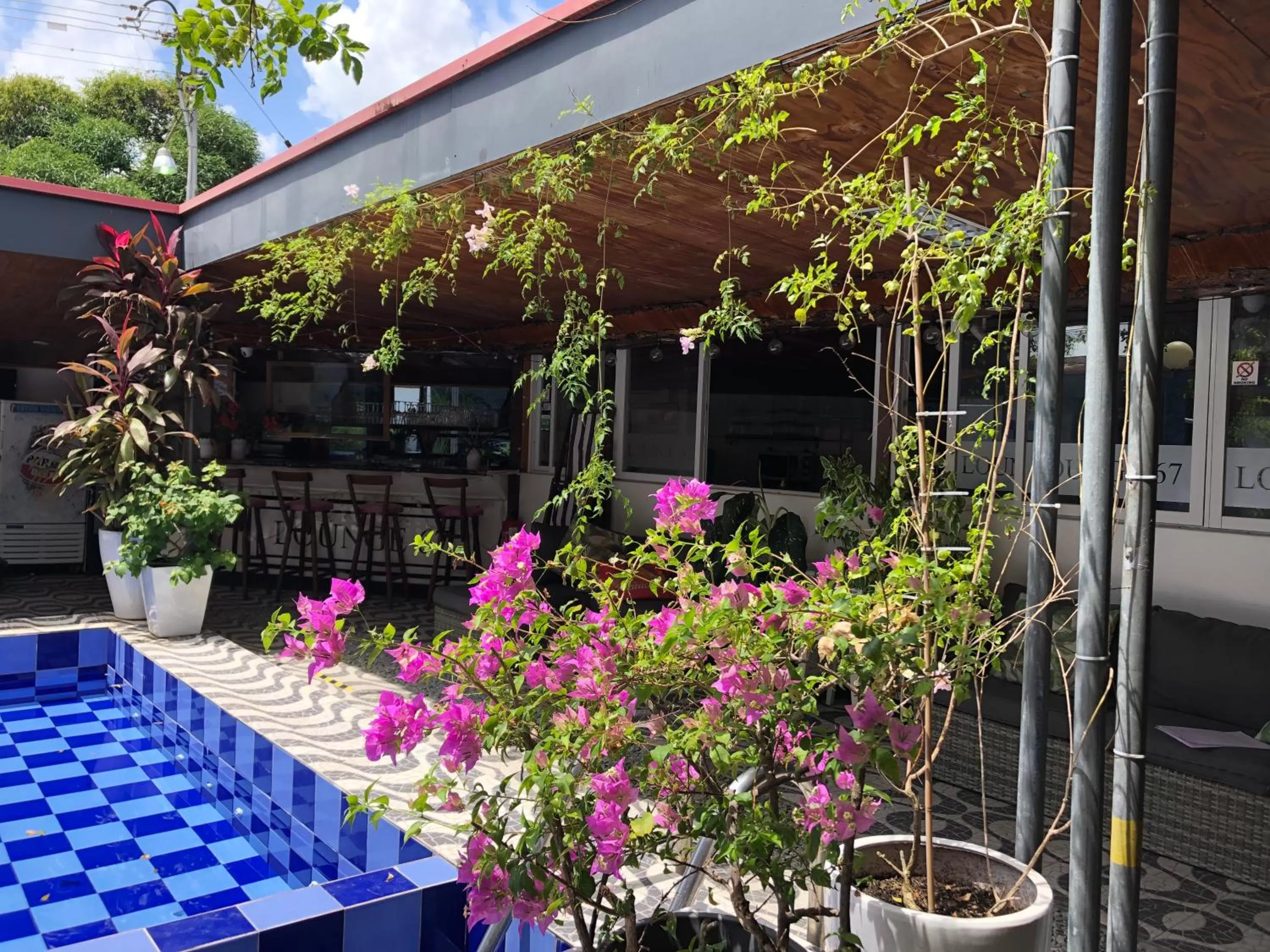 Swimming pool in Holland Lodge Paramaribo