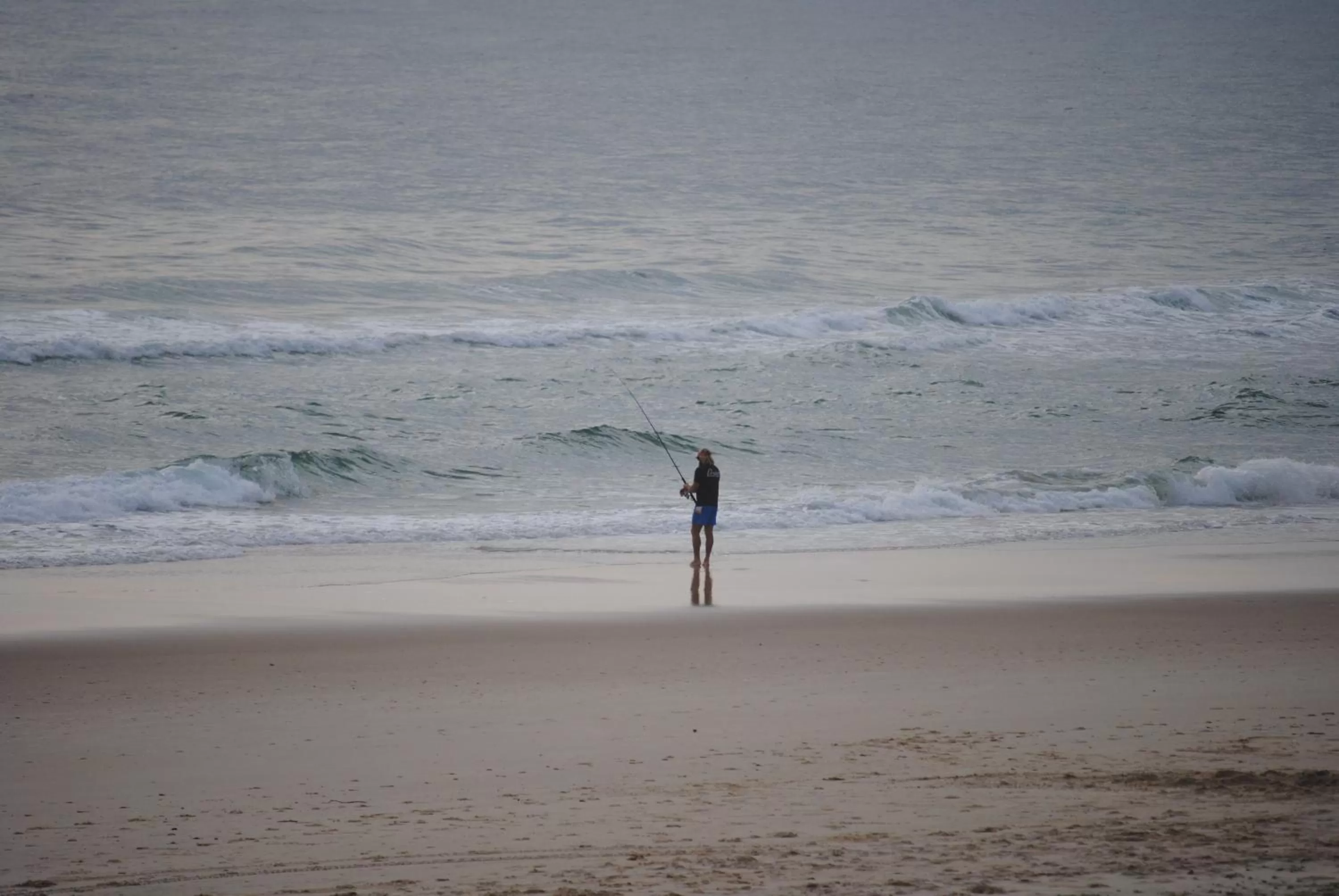 Area and facilities in Albatross North Apartments