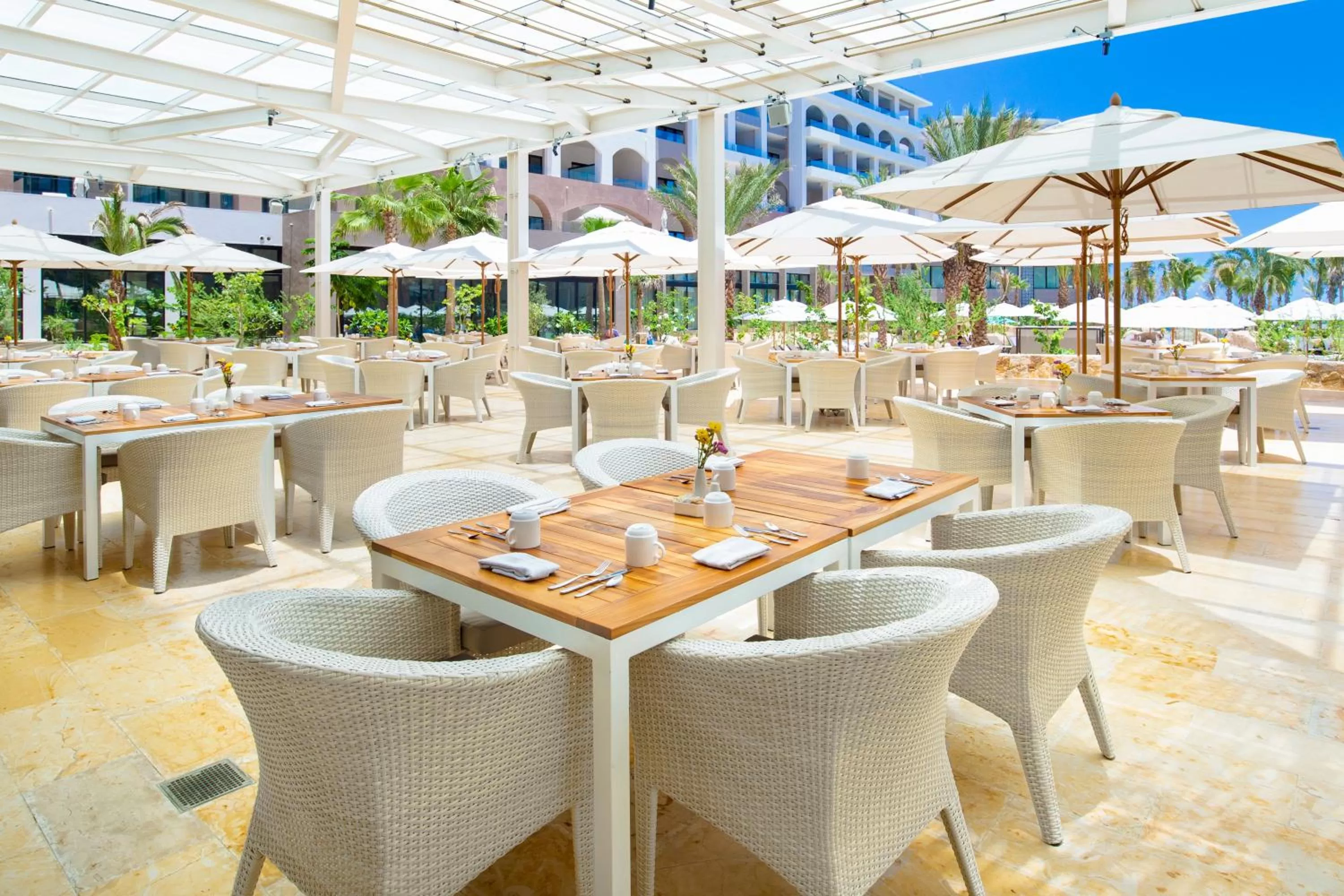 Restaurant/places to eat in Villa La Valencia Beach Resort & Spa Los Cabos