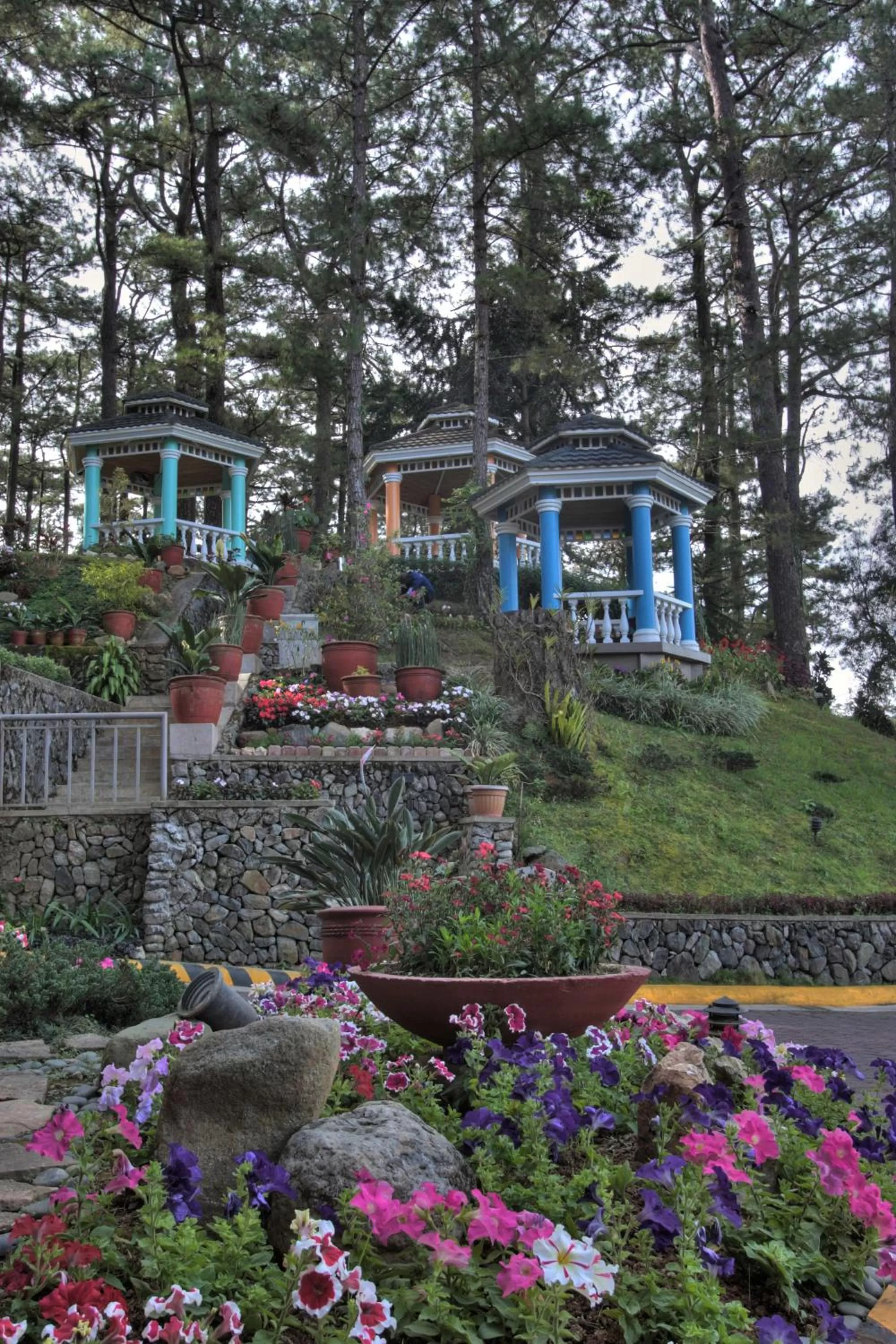 Spring in Hotel Elizabeth - Baguio