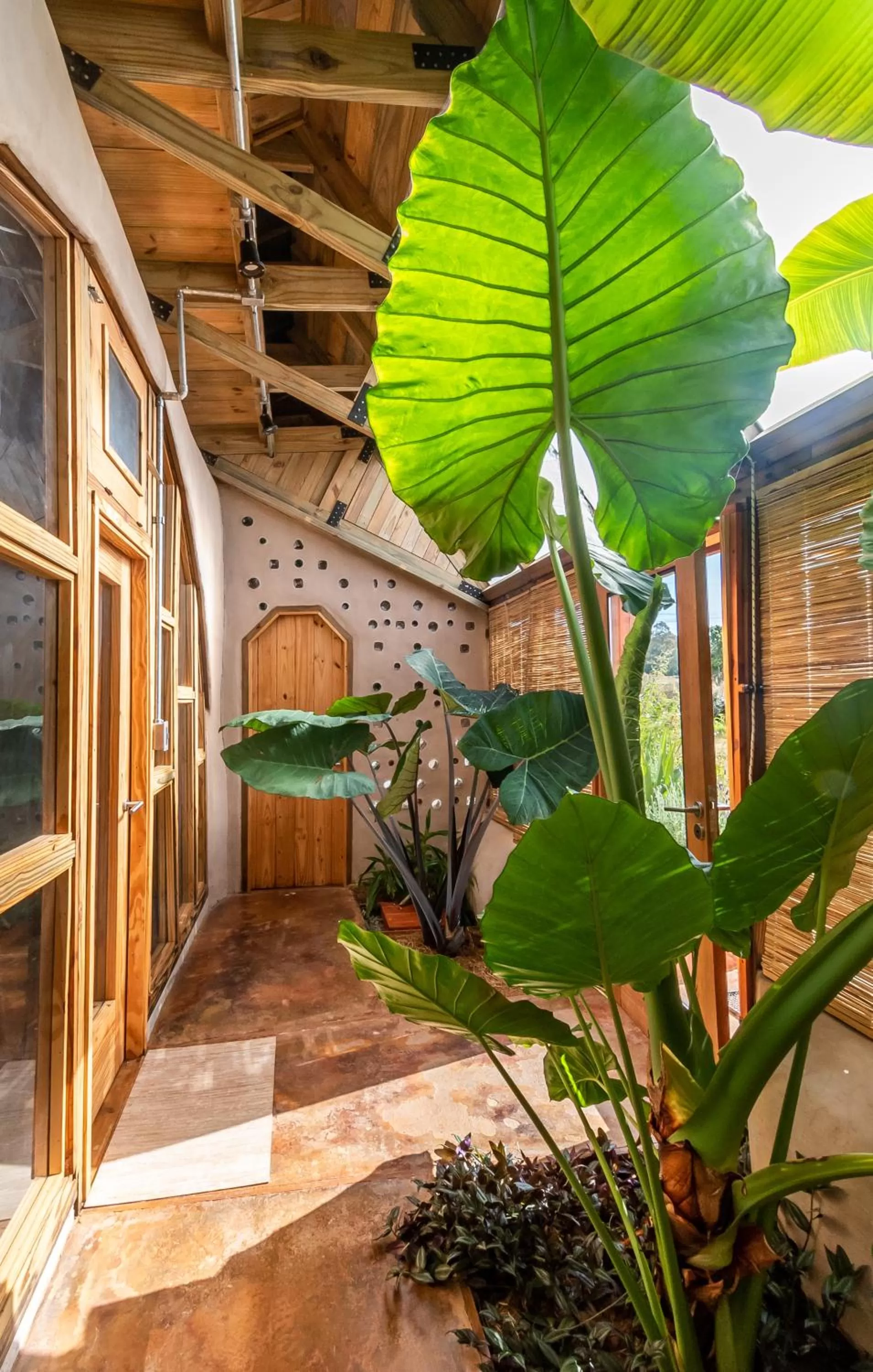 Caliu Earthship Ecolodge