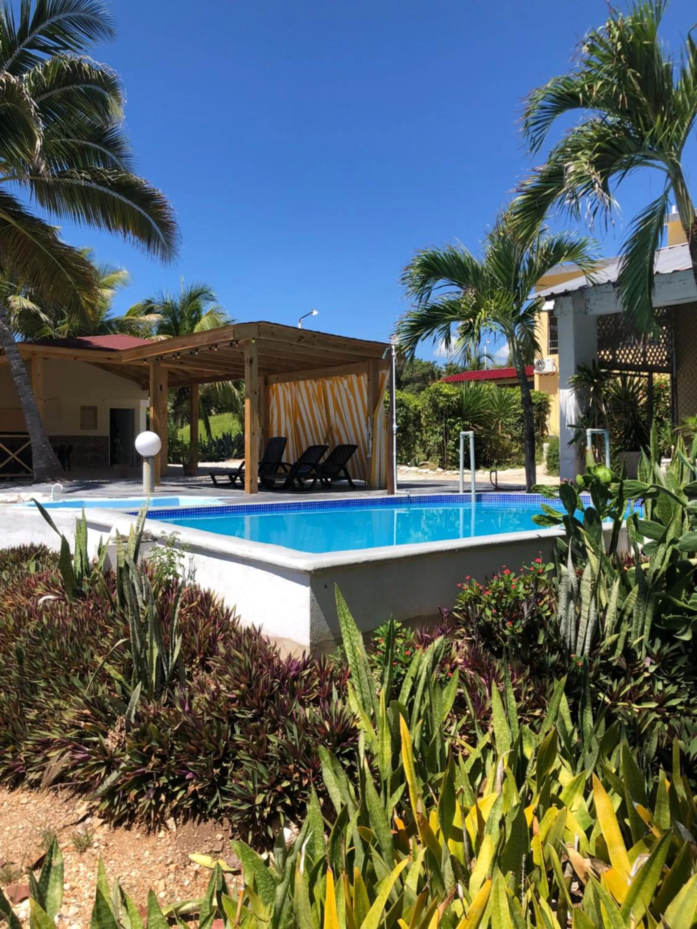 Swimming Pool in Hotel Al Mare