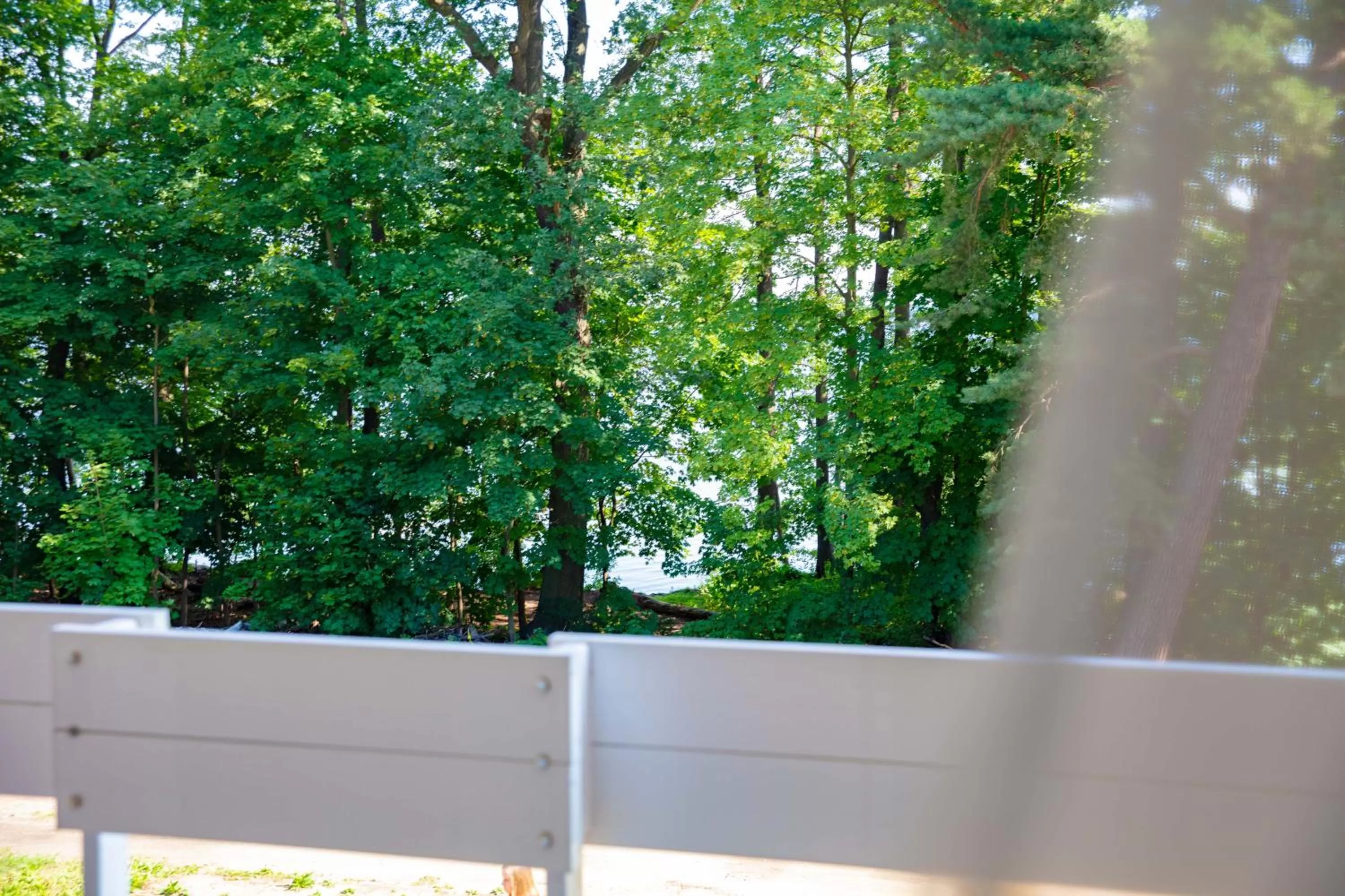 View (from property/room) in Müggelseeperle