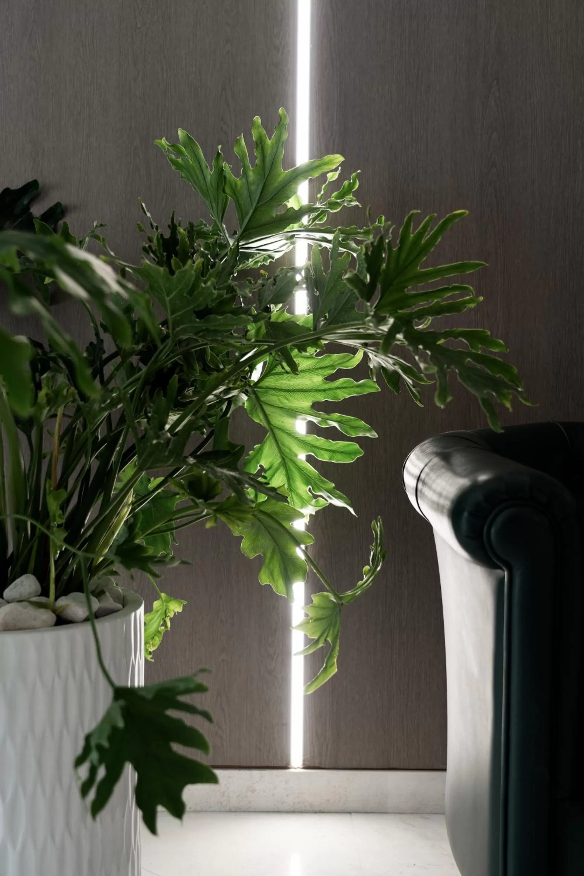 Lobby or reception in Hotel Palazzo Ognissanti