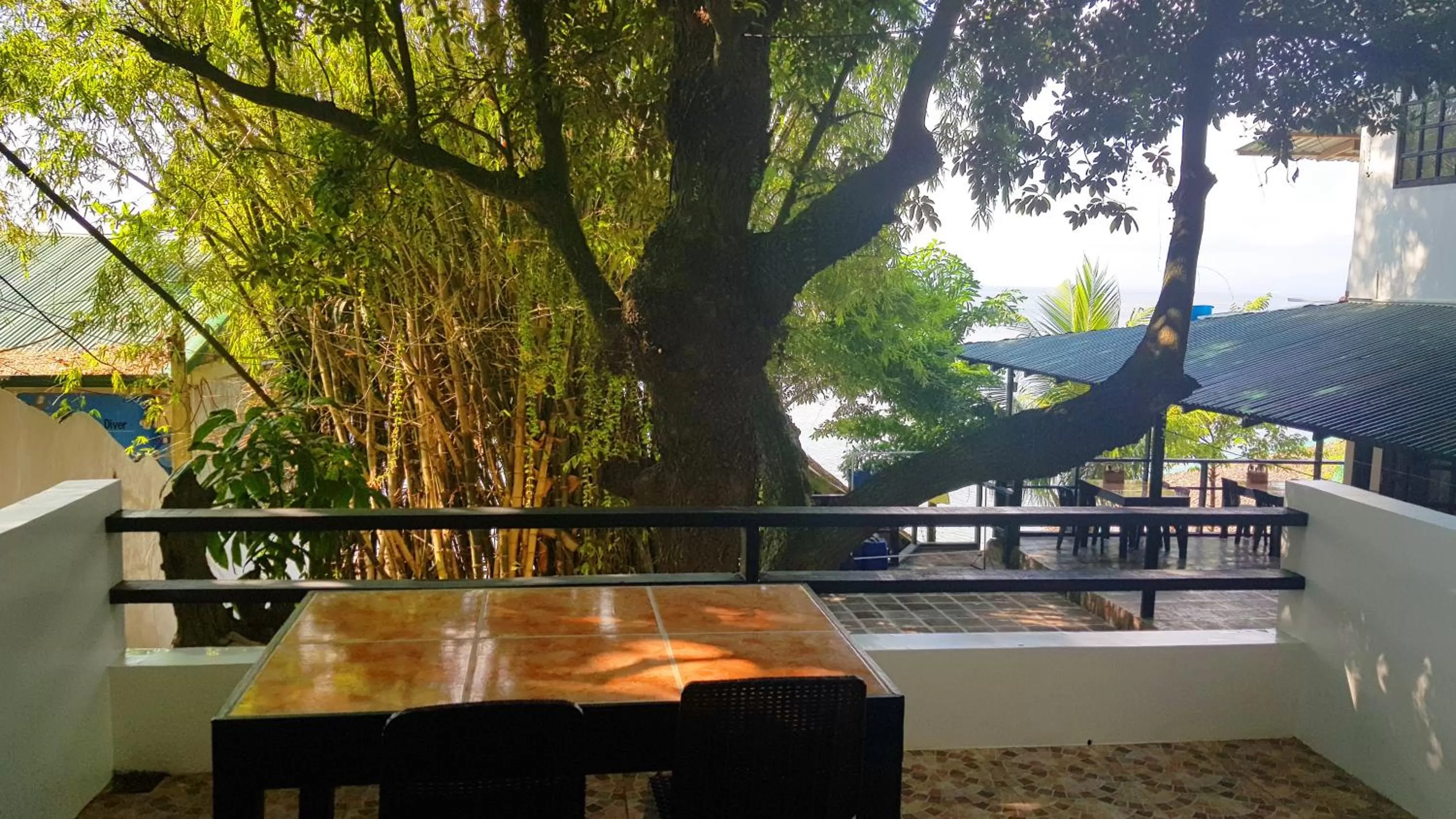 Blue Ribbon Dive Resort