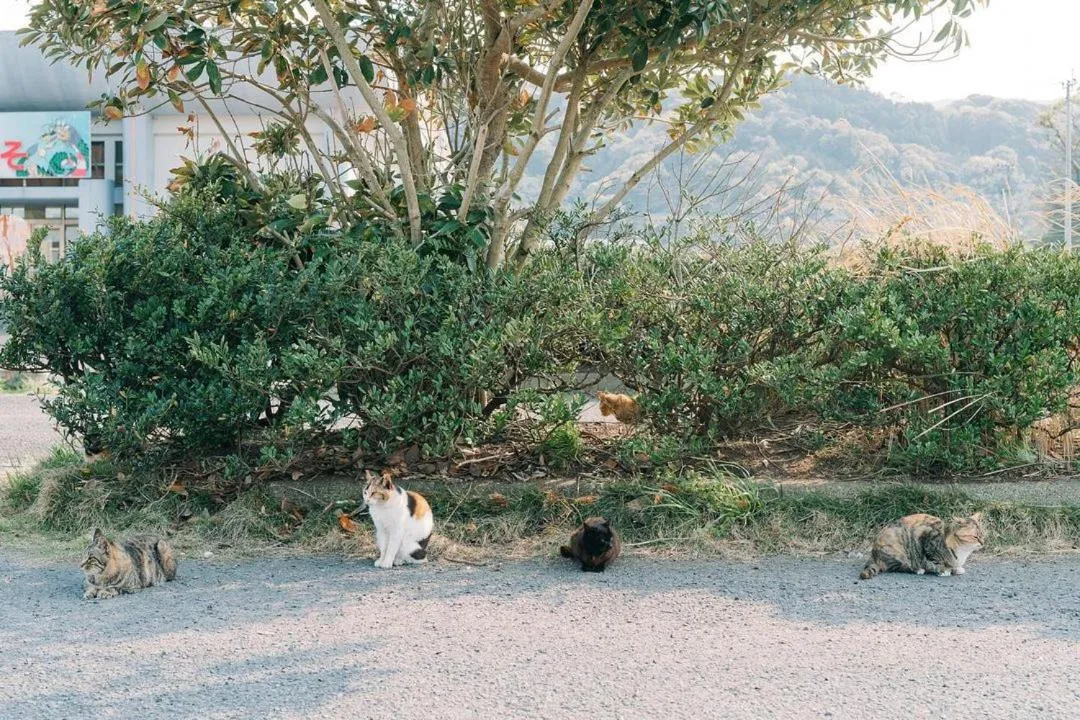 Day in Nagasaki House Burabura