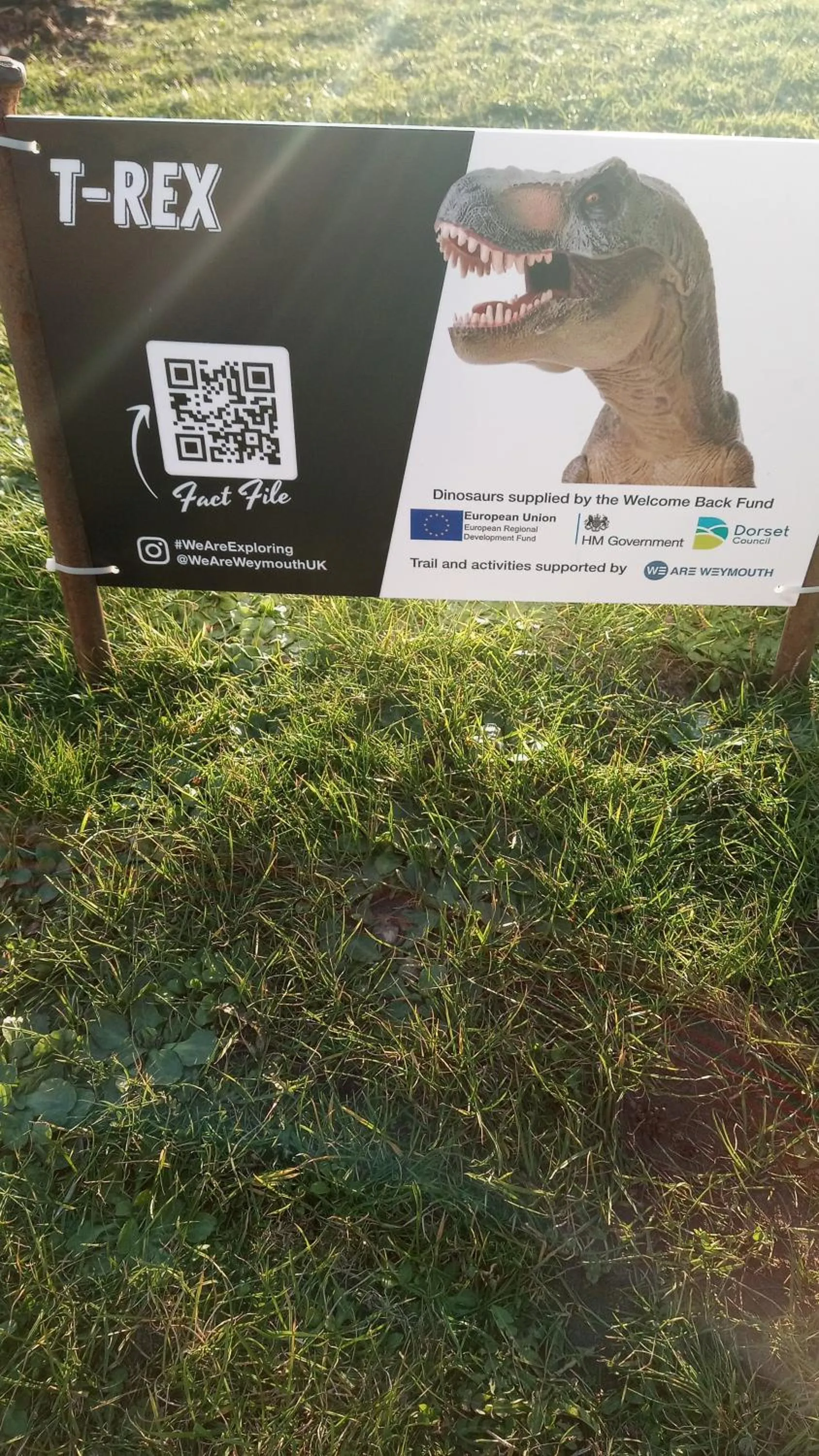 Certificate/Award in The Wilton Weymouth