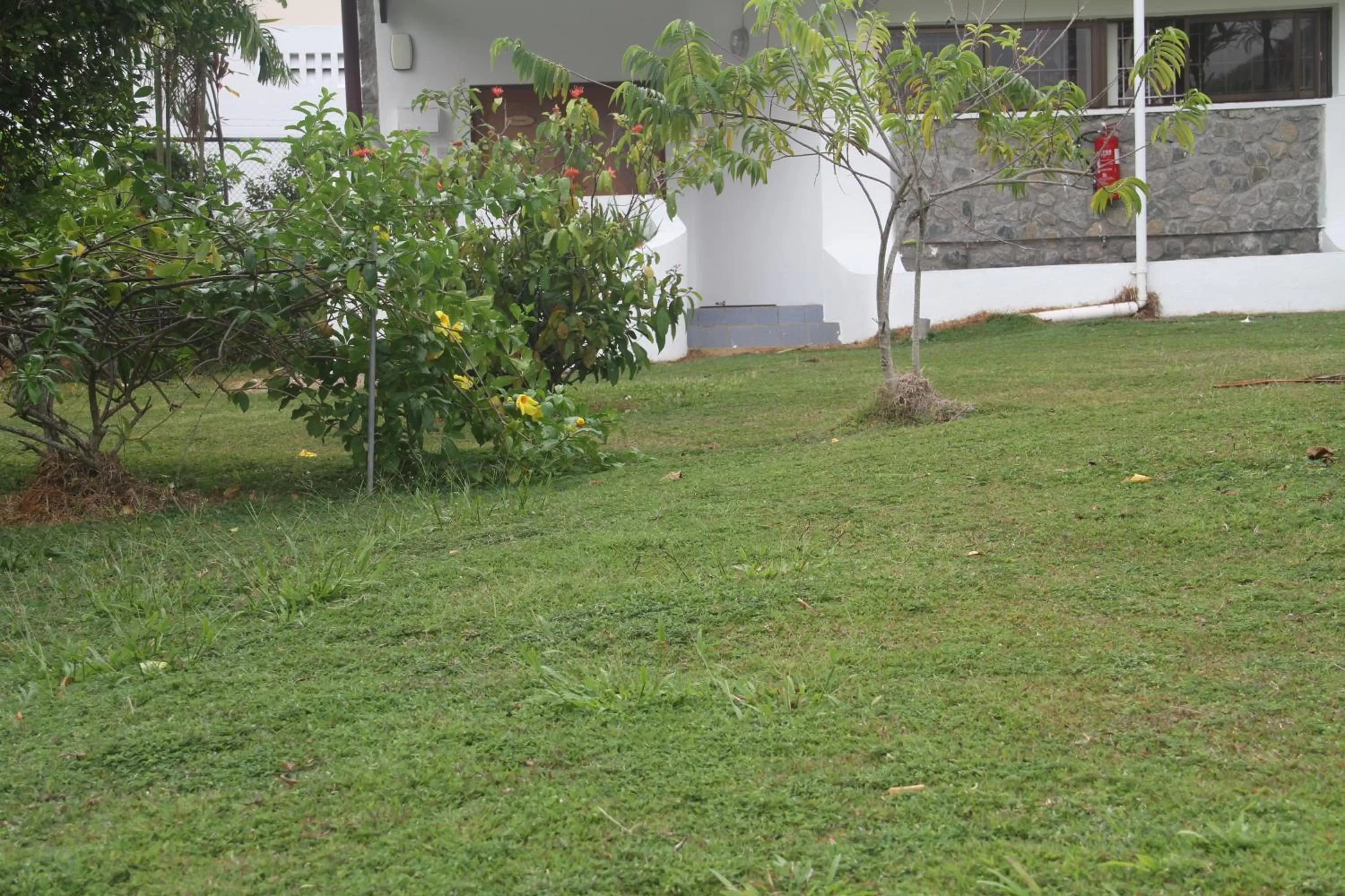 Garden in Daniella's Bungalows