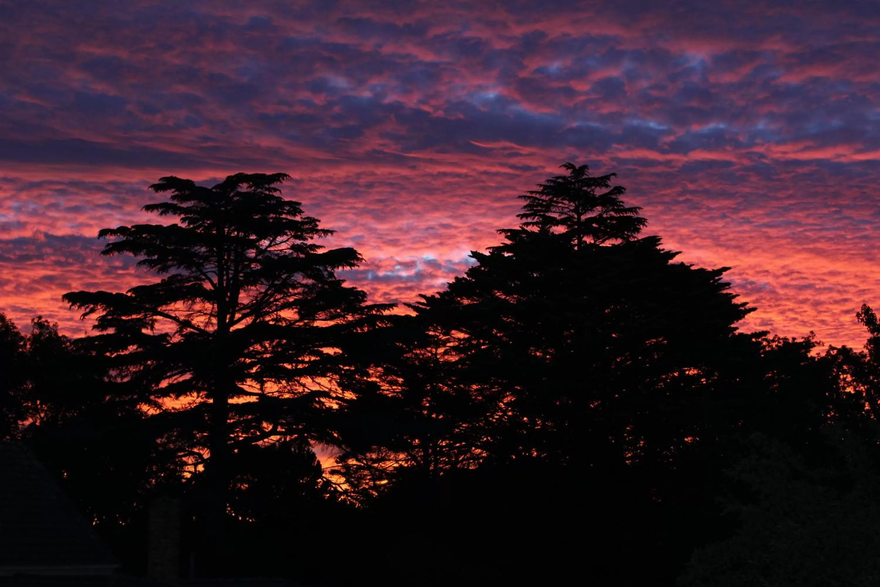 Sunset in Pirralilla Estate Adelaide Hills