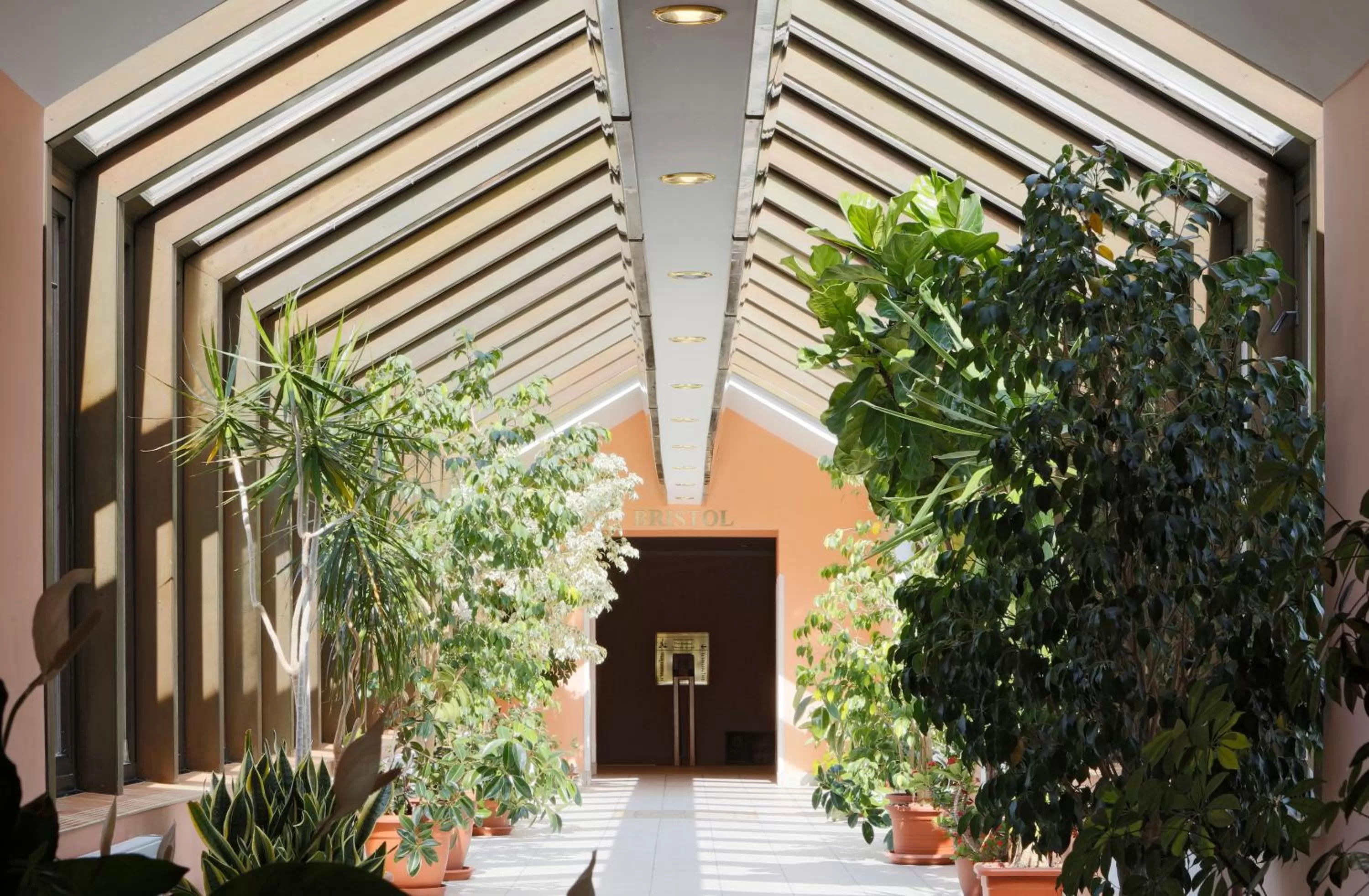 Patio in Hotel Bristol