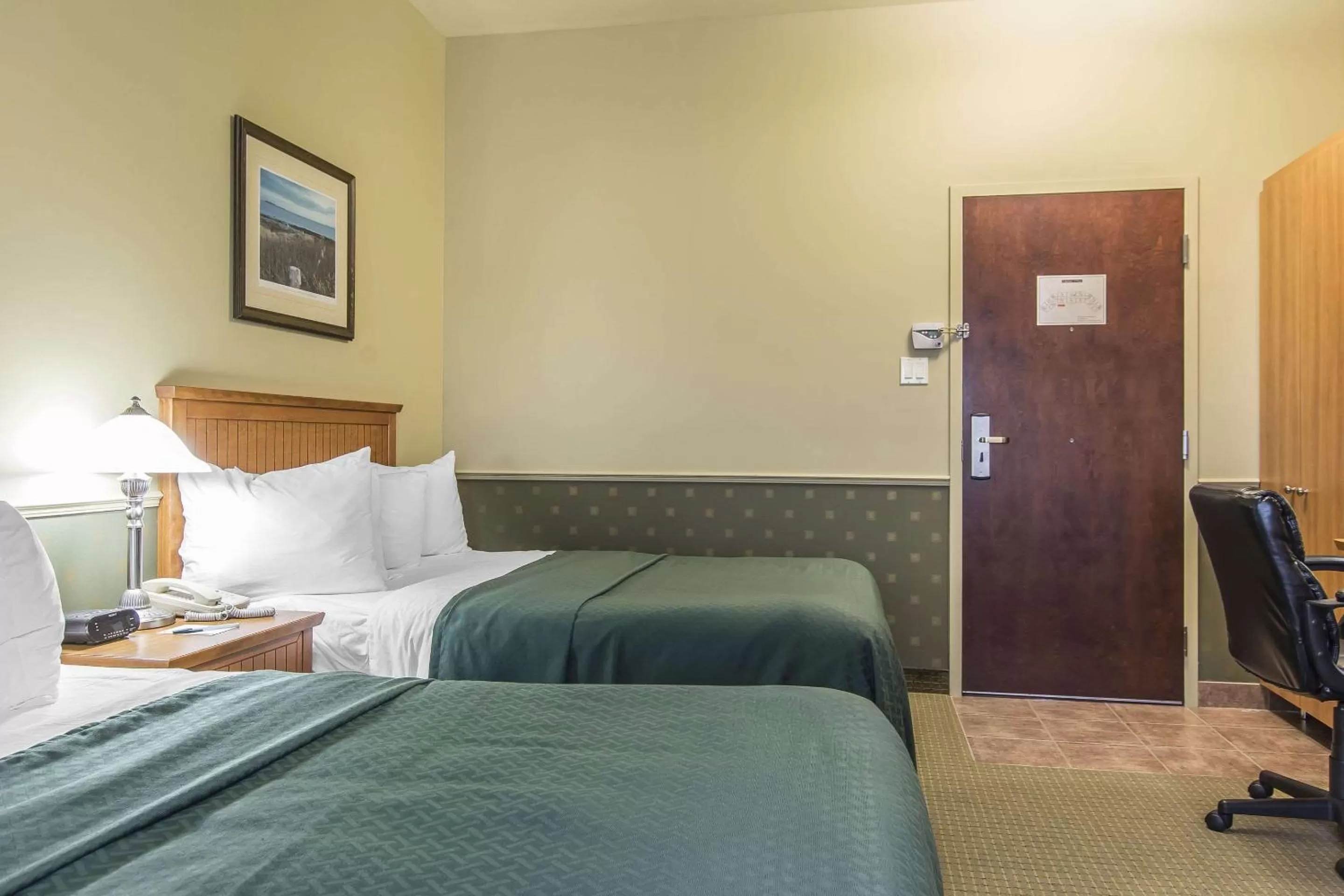 Photo of the whole room, Bed in Quality Inn