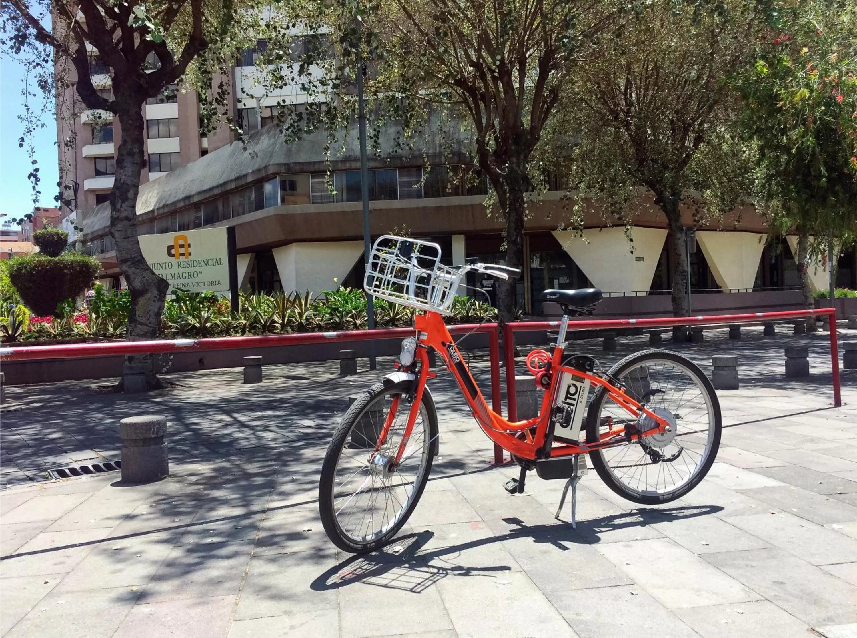 Activities, Other Activities in Penthouse Lodge B&B