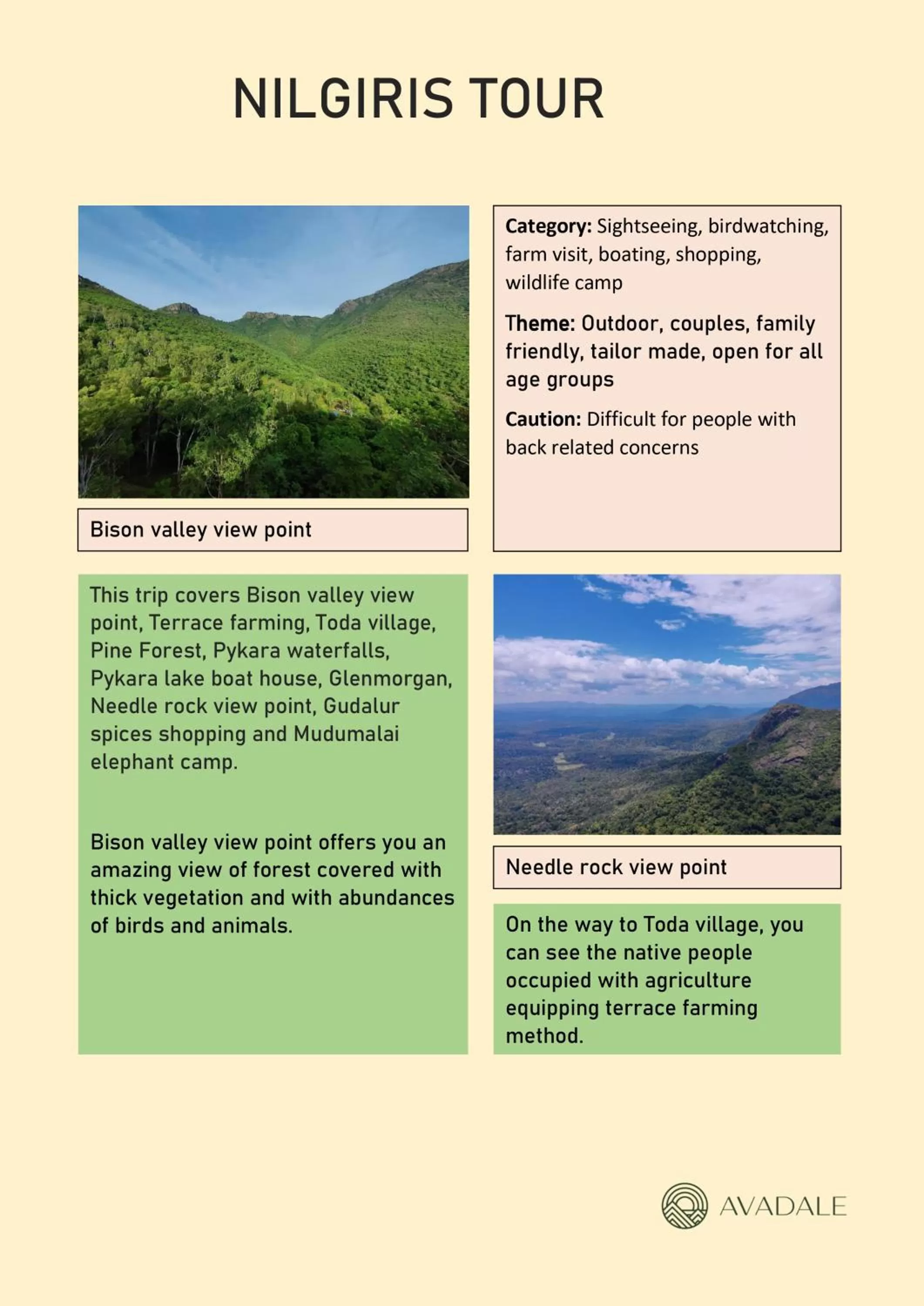 Activities in Avadale Masinagudi - Stag Groups Not Allowed