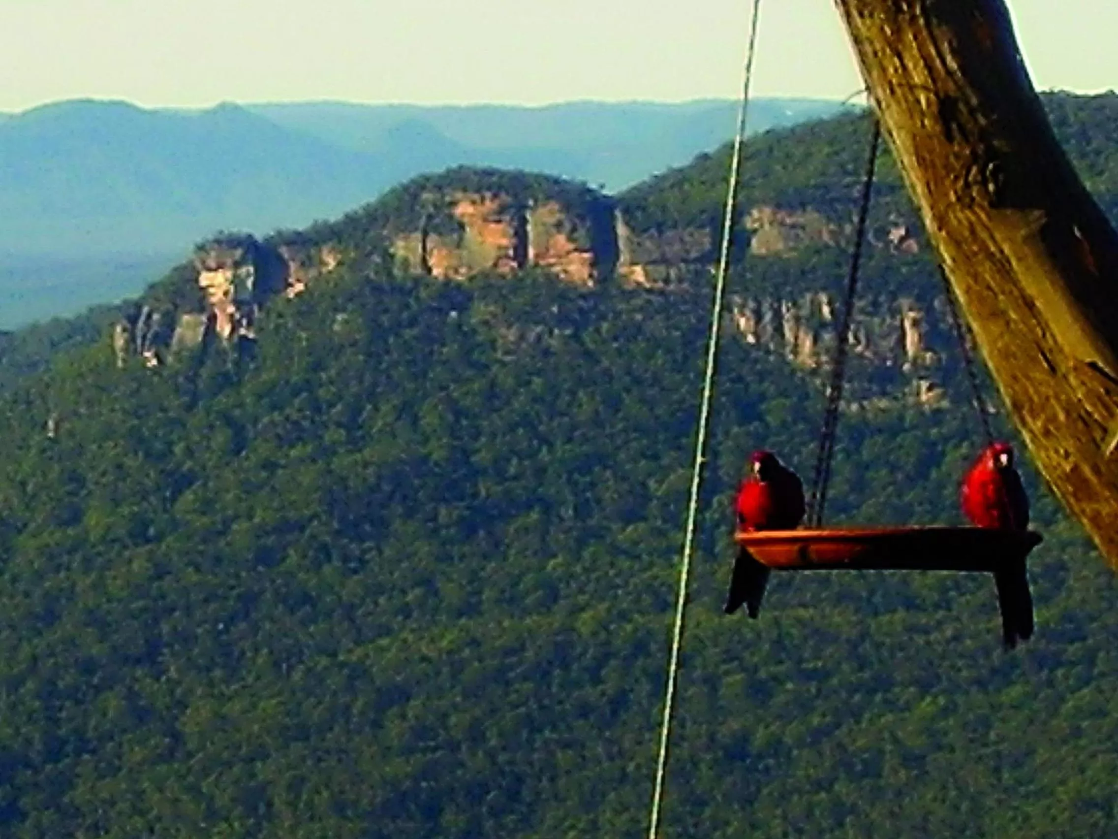 Animals in Valley of the Waters B&B