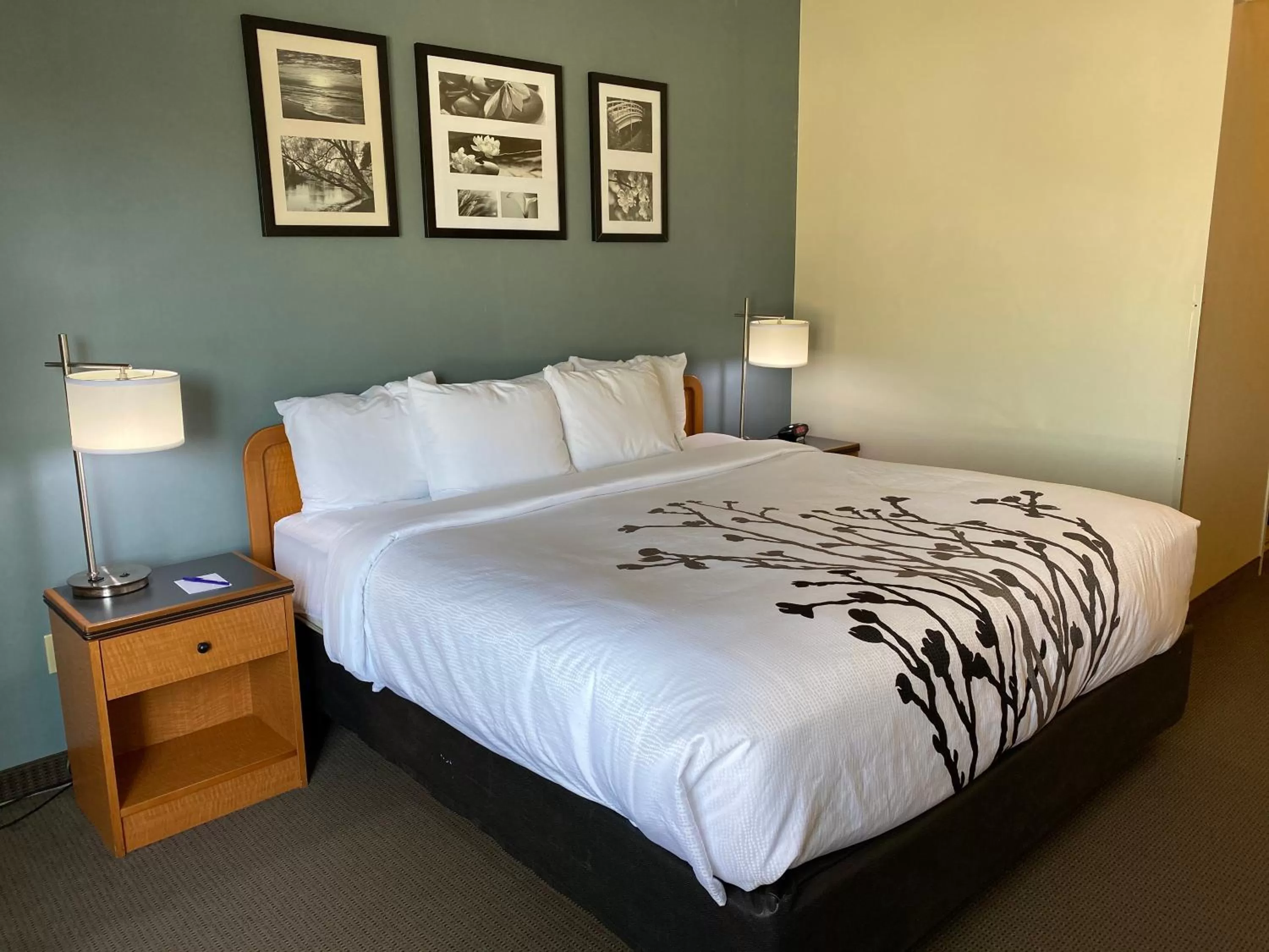 Standard King Room with Roll-in Shower - Accessible/Non-Smoking in Sleep Inn & Suites Davenport - Quad Cities