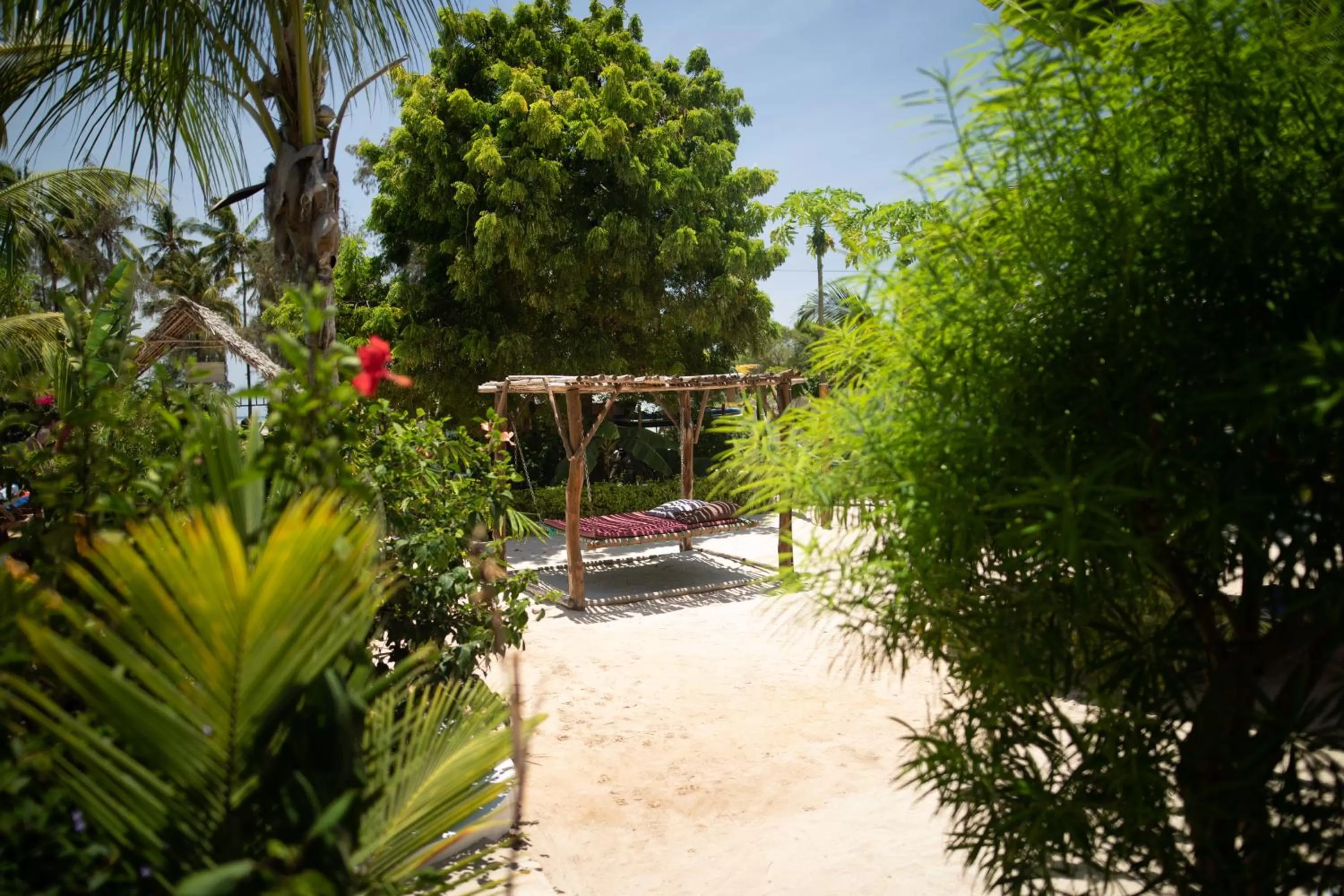 Garden in Aluna Nungwi