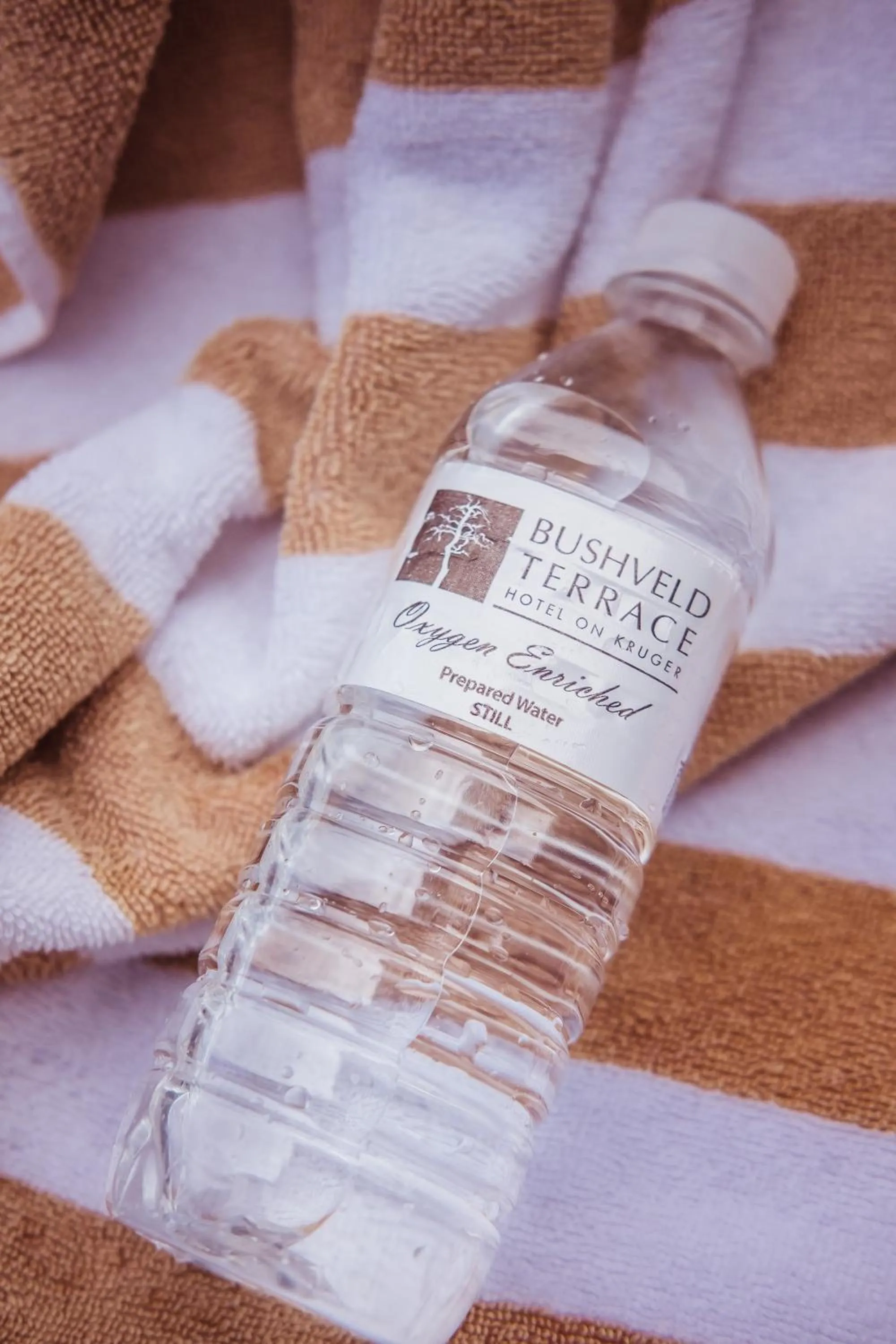 Pool view in Bushveld Terrace Safari Hotel, Lodge & Spa