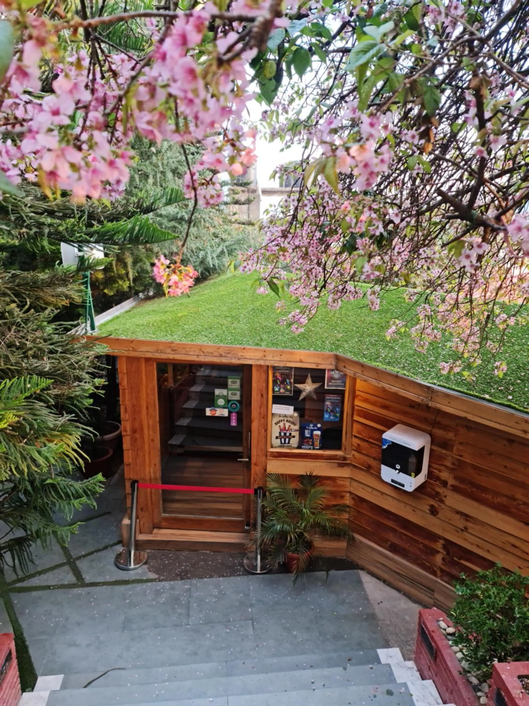 Spring in Kasauli Castle Resort