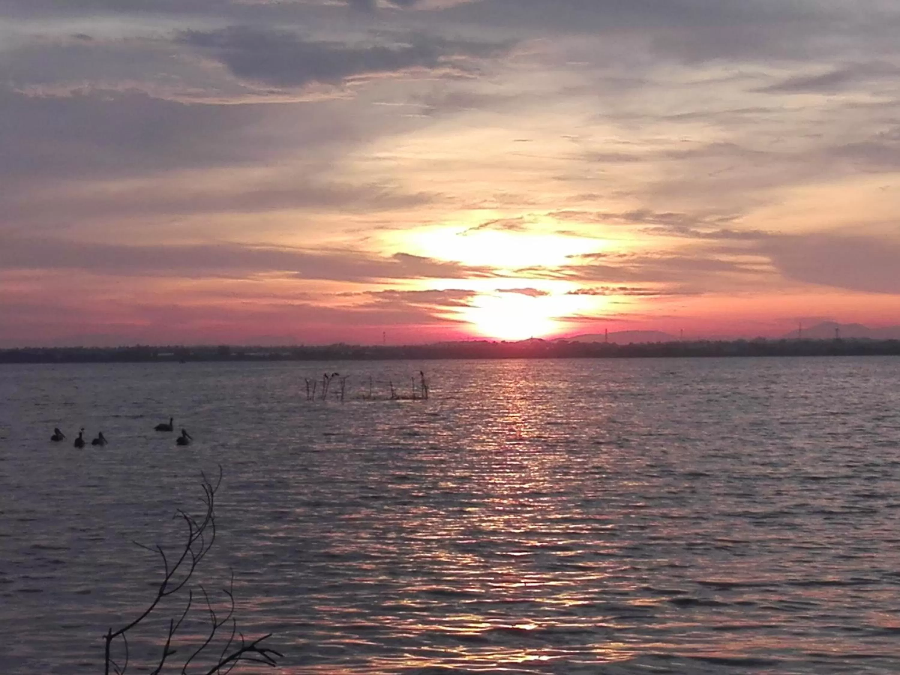 On site in Nico Lagoon Hotel