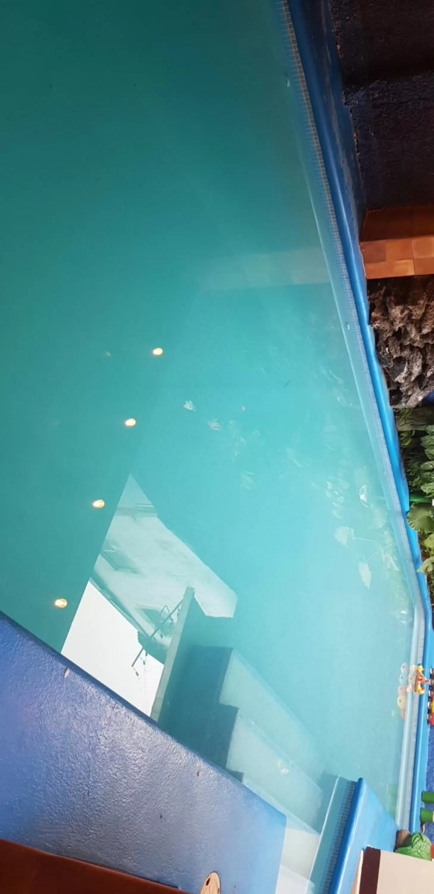 Swimming pool in Art Hotel Managua