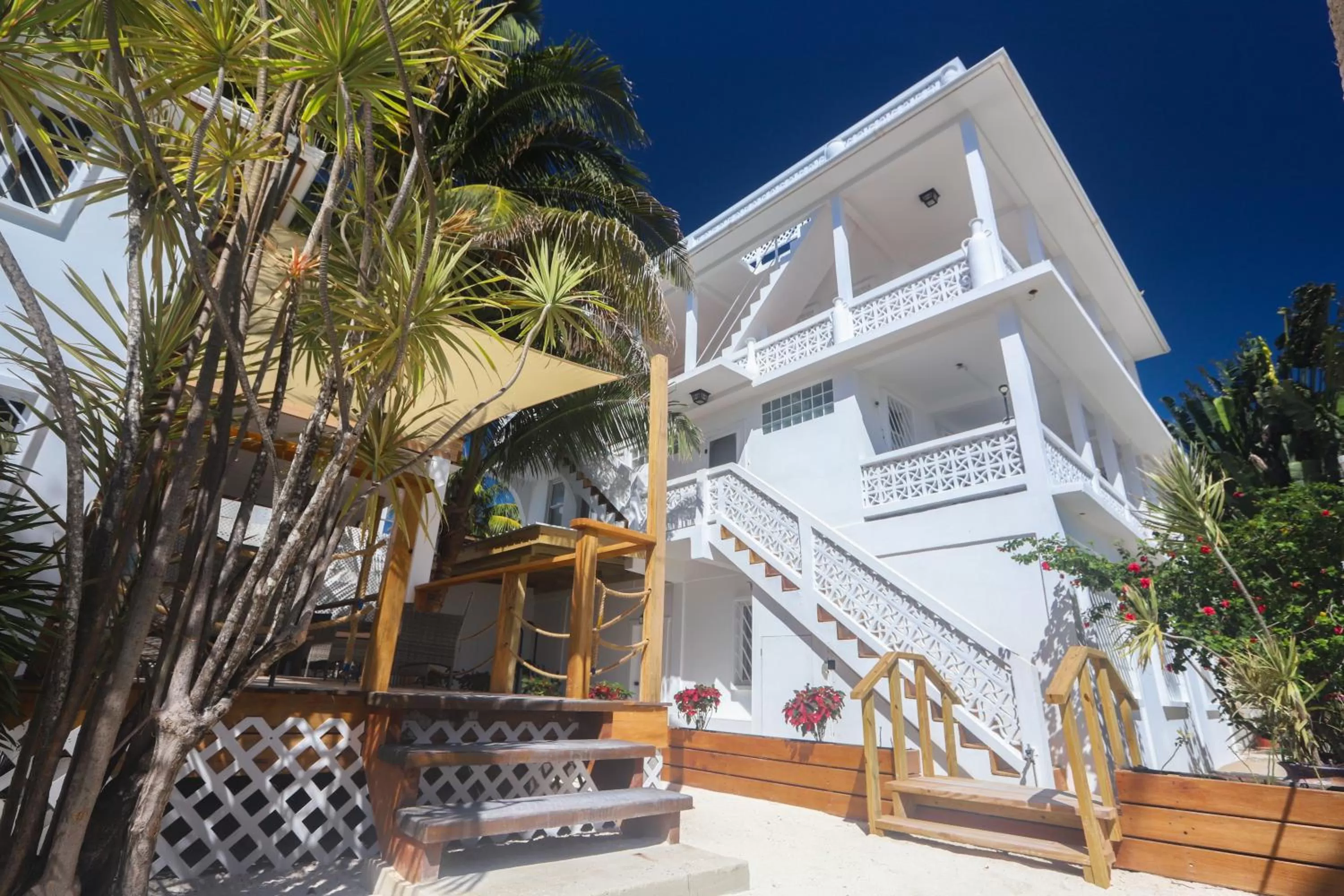 Property building in Treetops Hotel