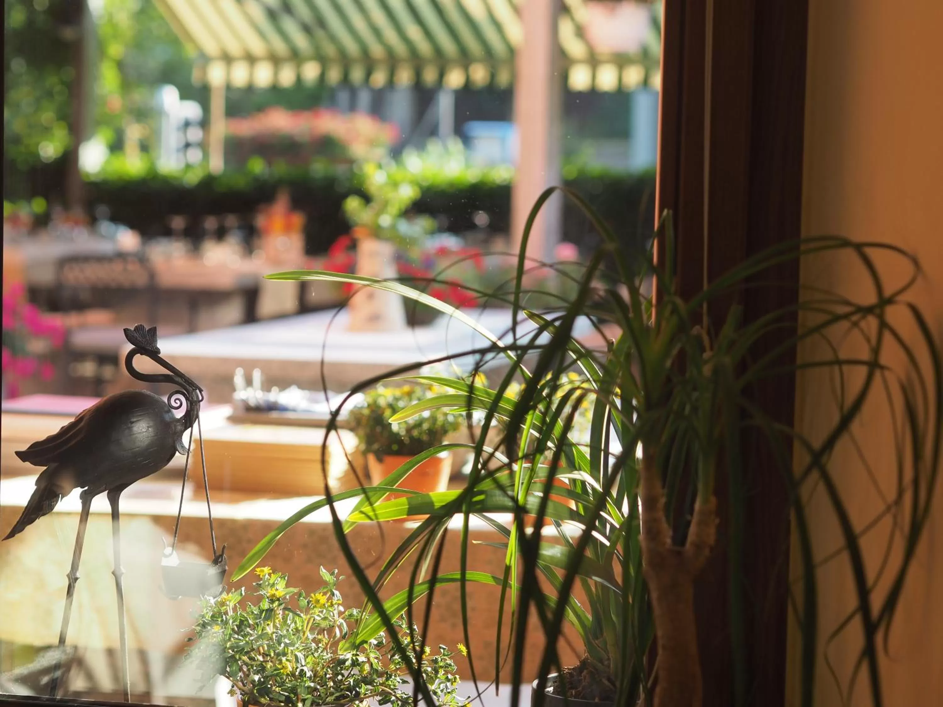 Balcony/Terrace in Ristorante Charme Hotel Tre Terre