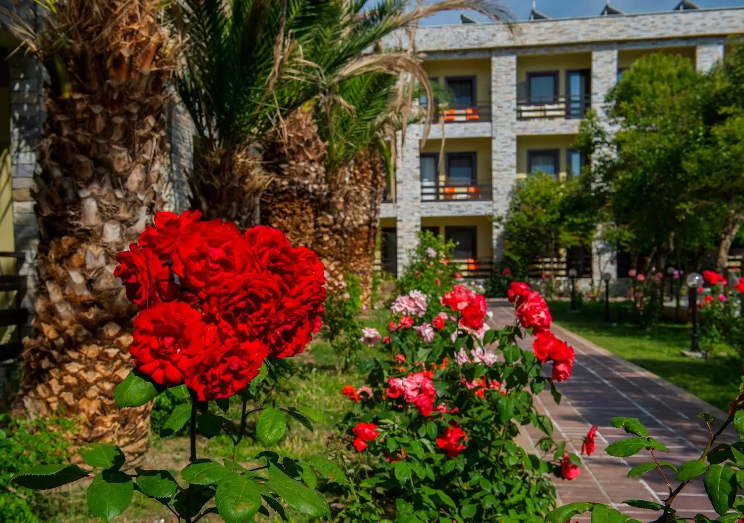 Garden in Iris Hotel & Spa